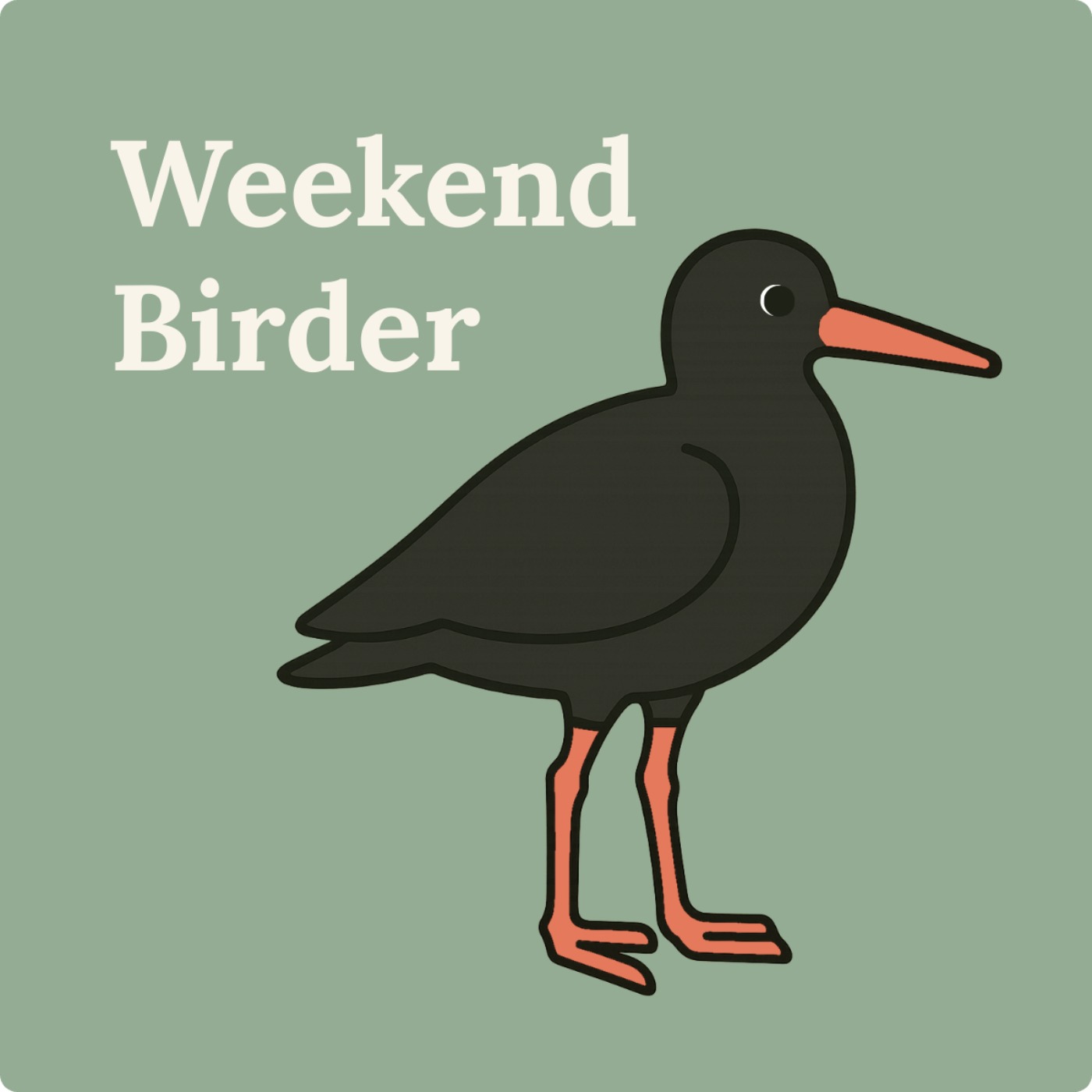 64 Beach Birds - with Bridget