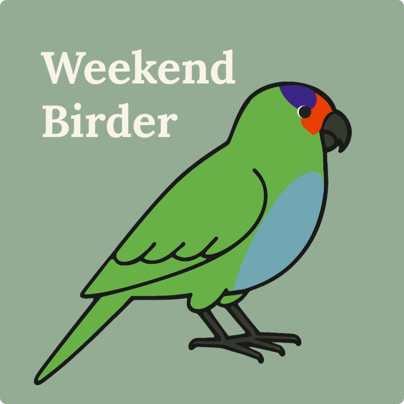 63 New Homes for Urban Birds - with Kylie