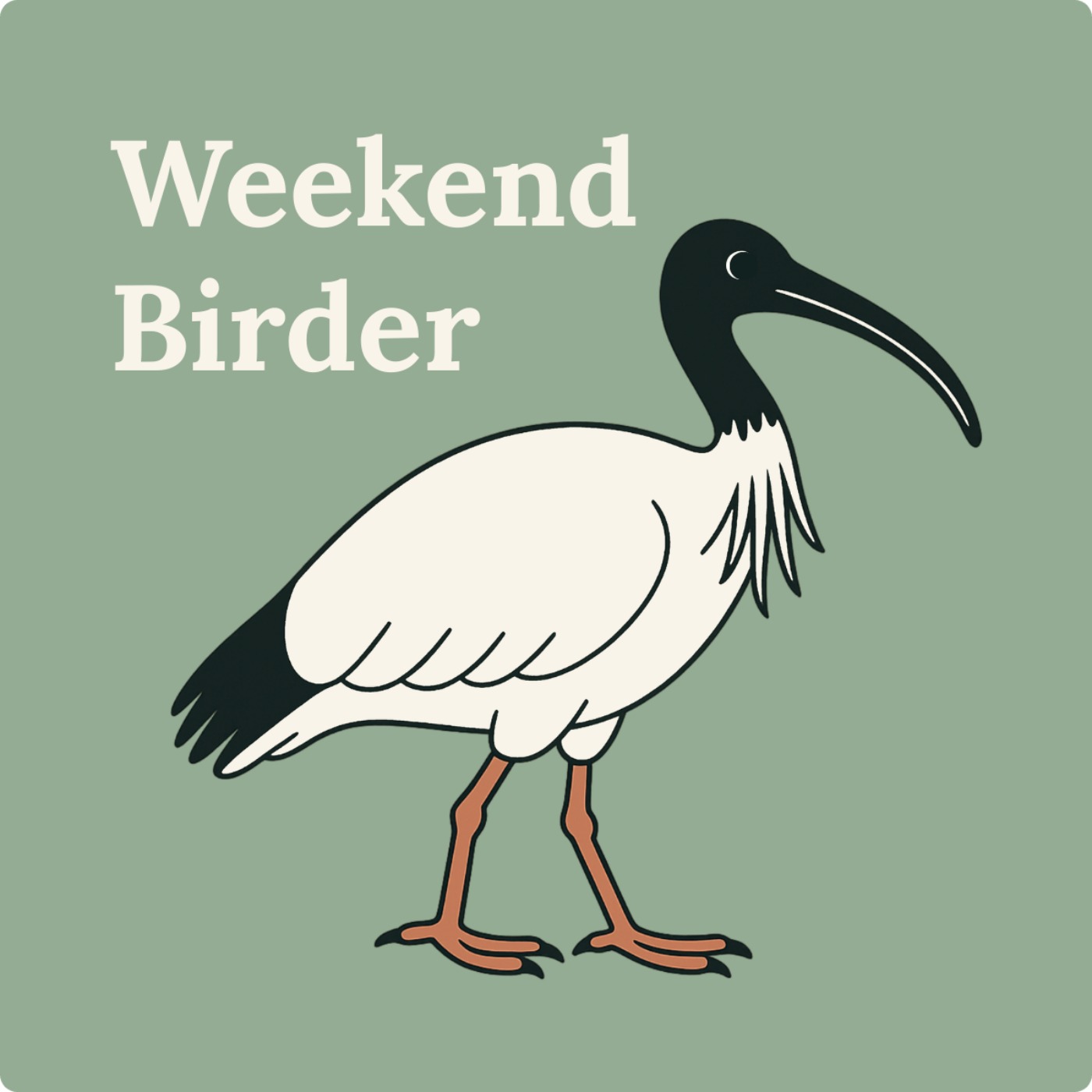 61 Big City Birds - with John