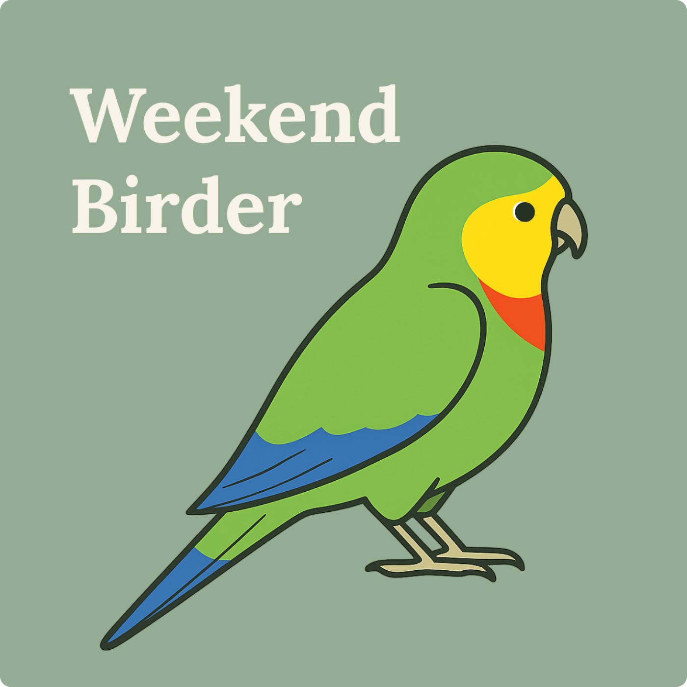 54 Canberra and Superb Parrots - with Olivia