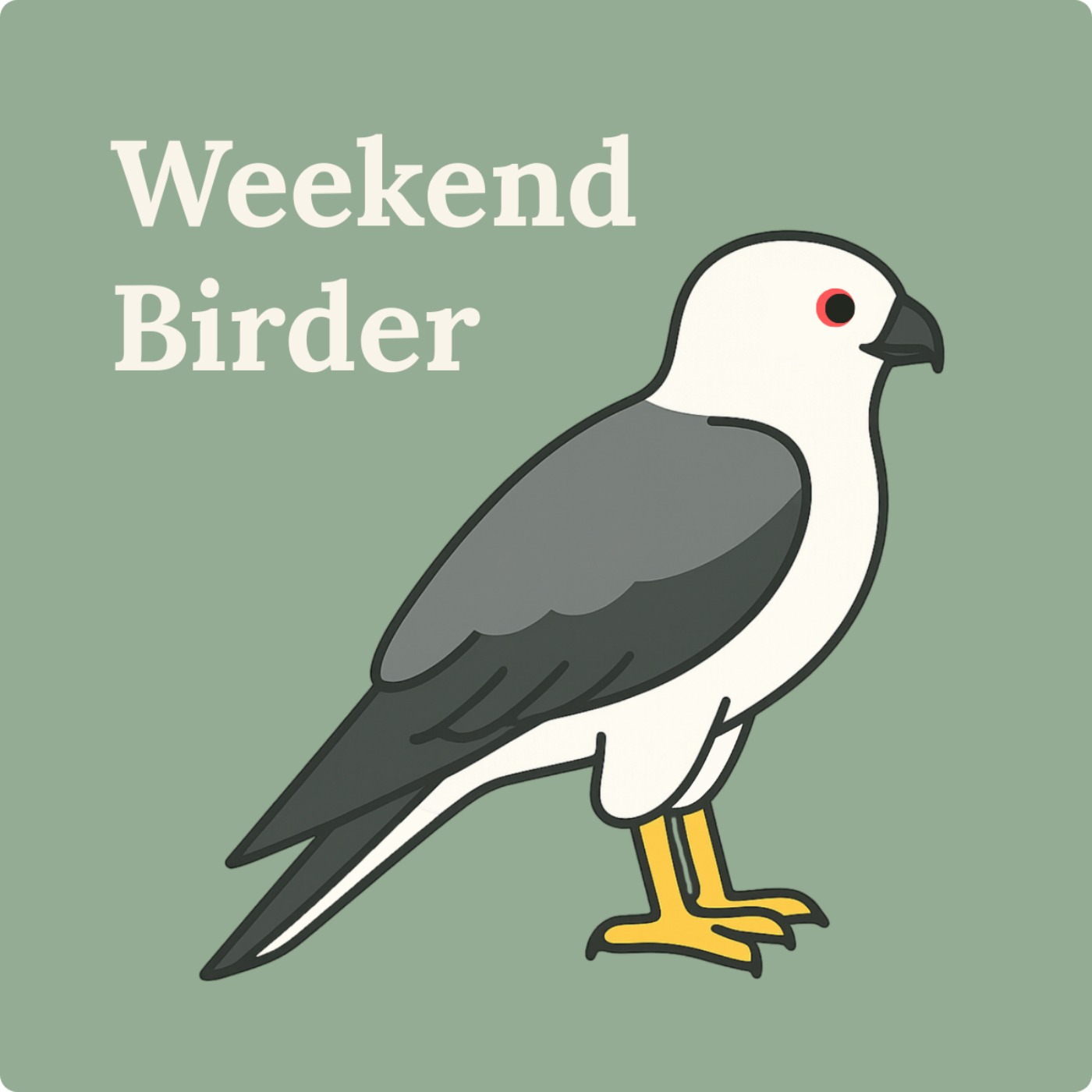 53 Birds of Prey - with Stephen