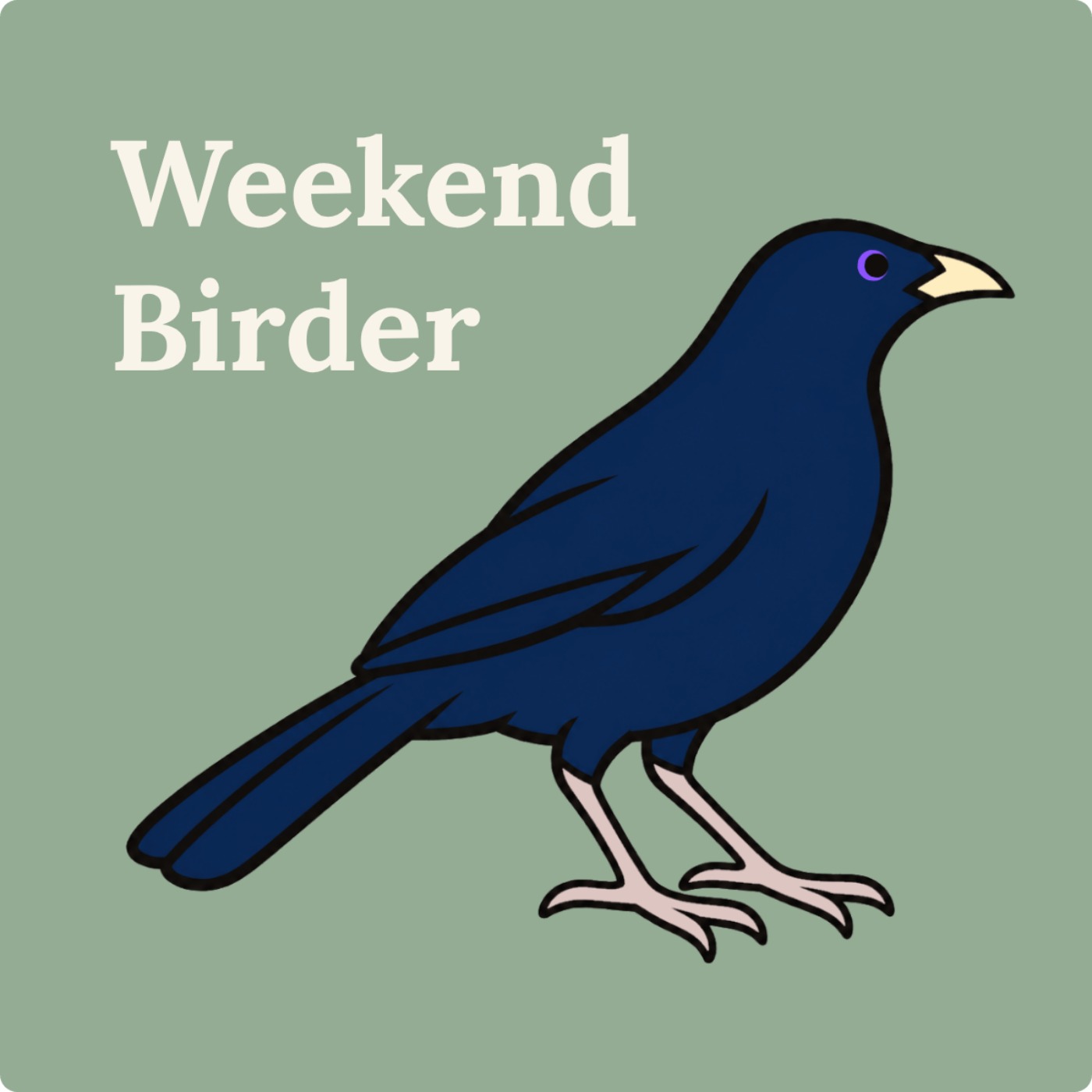 Artwork for Weekend Birder