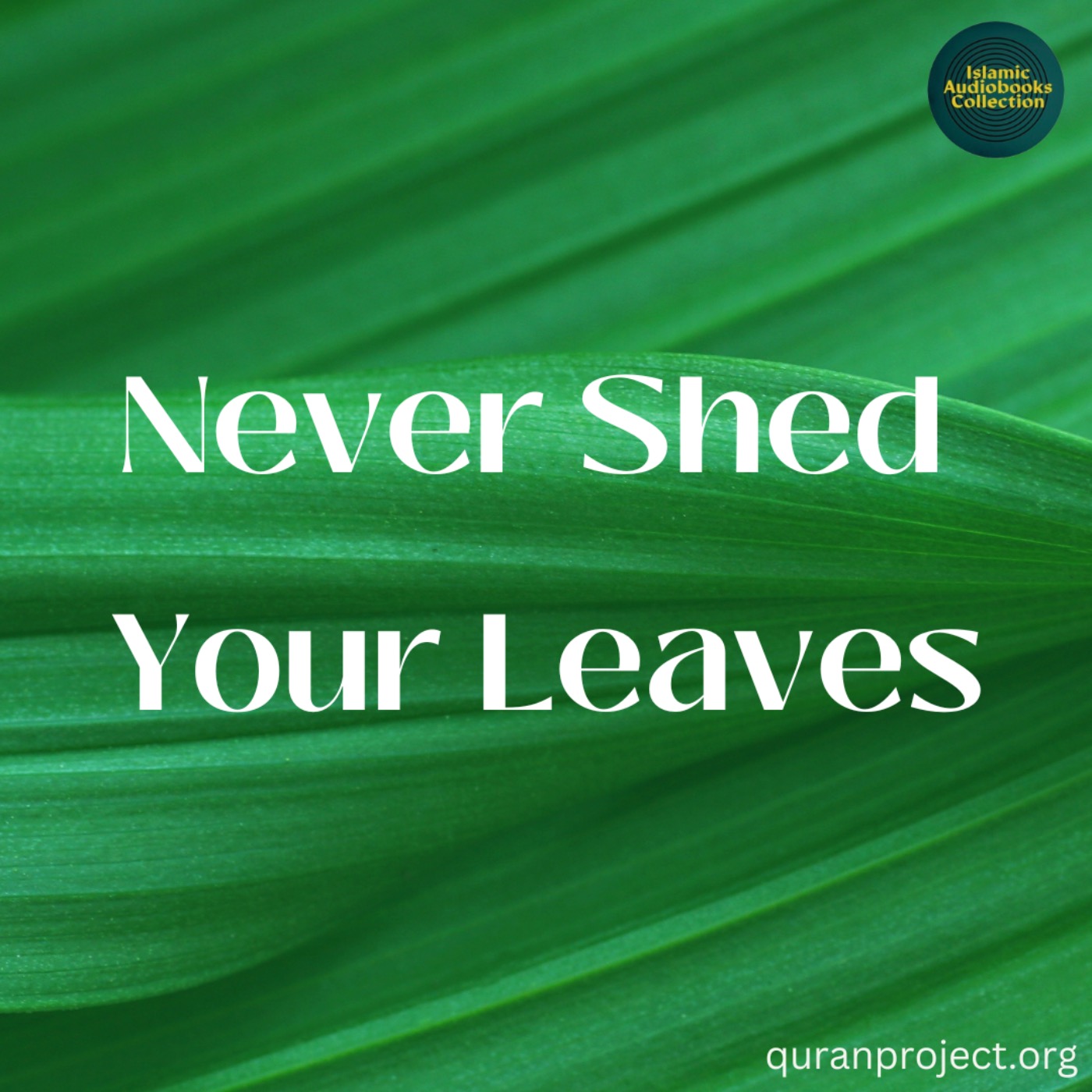 Never Shed Your Leaves  (QuranProject)