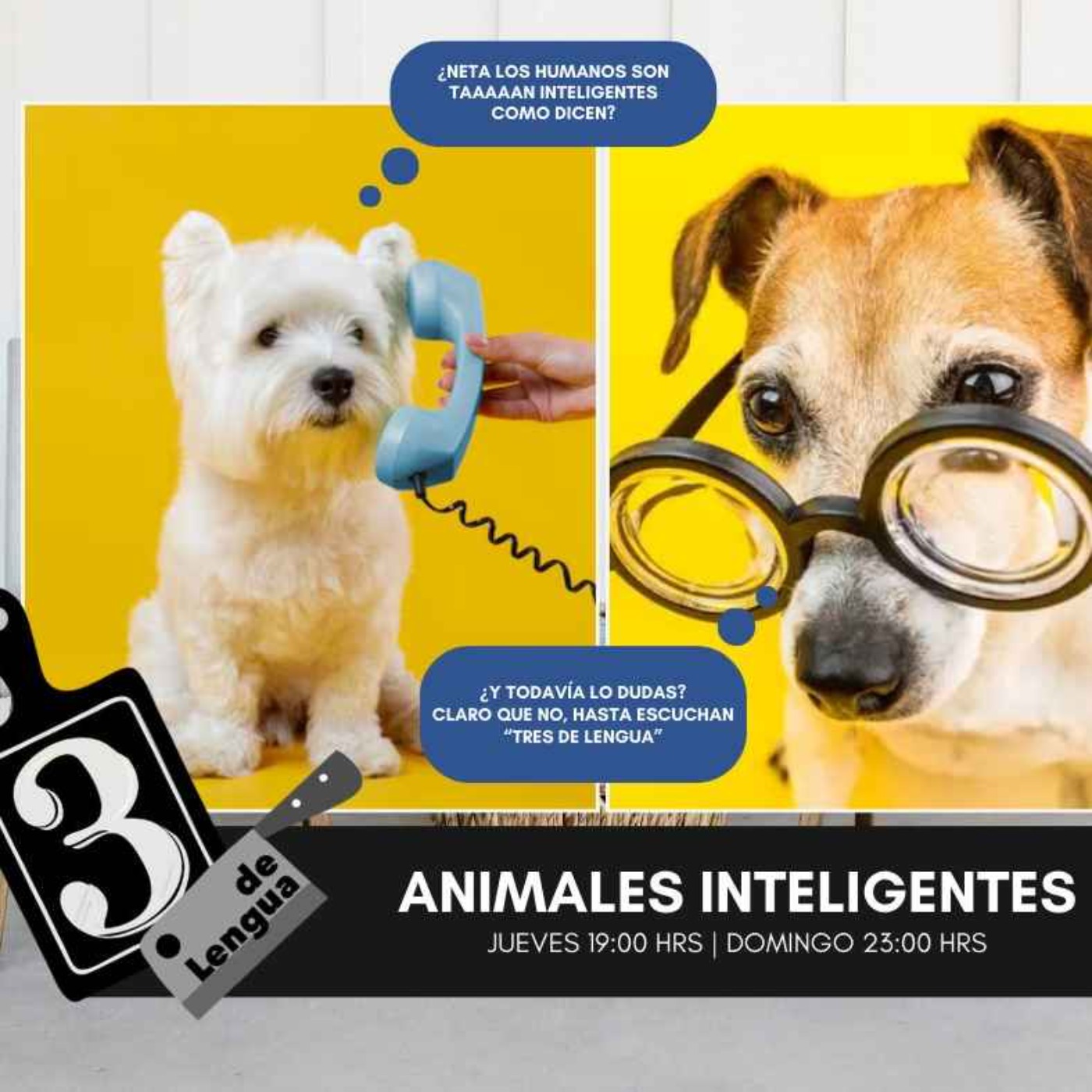 ANIMALES INTELIGENTES episode artwork