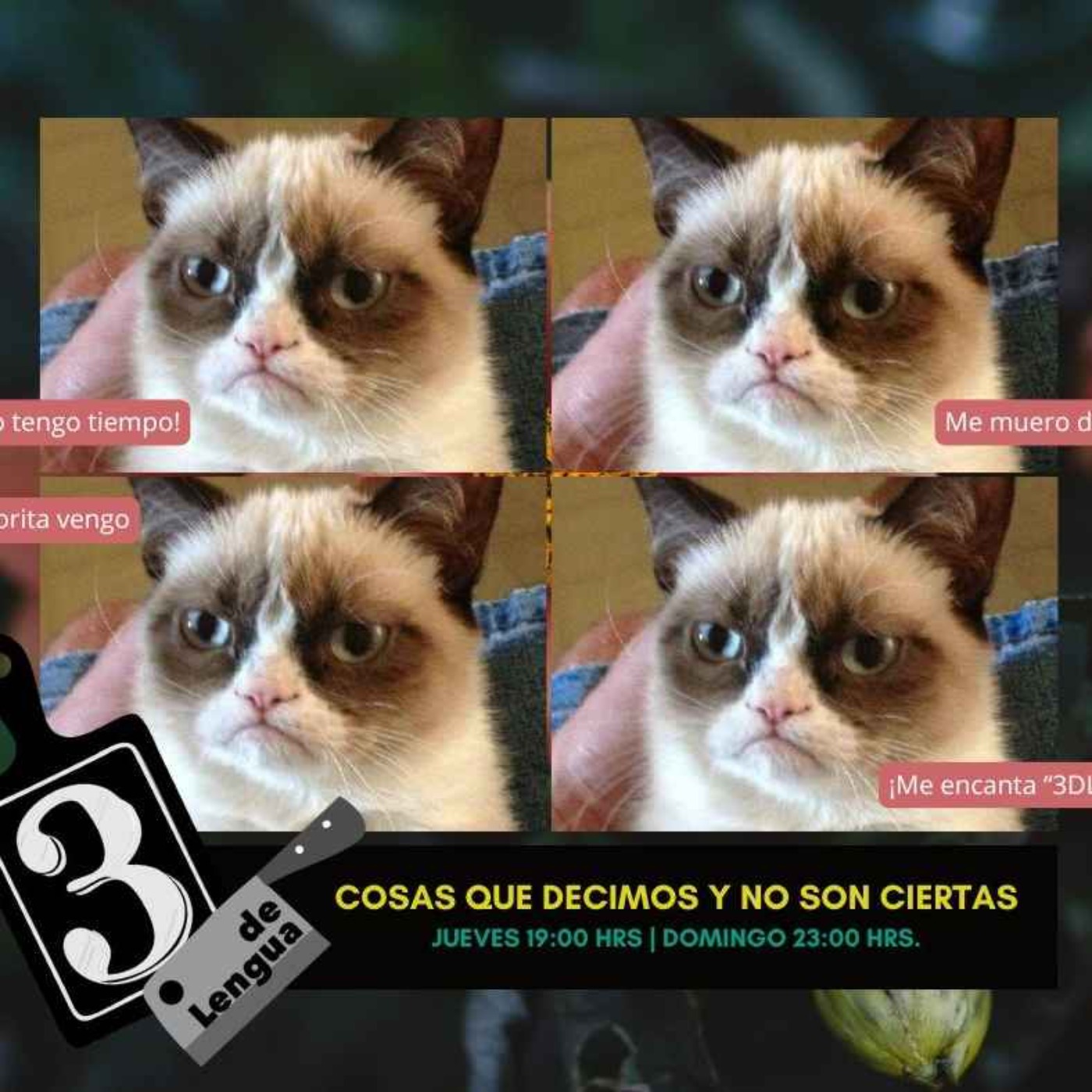 COSAS QUE DECIMOS Y NO SON CIERTAS episode artwork