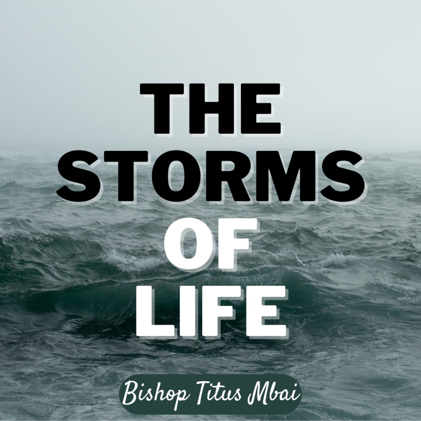 The Storms of Life - Episode 1