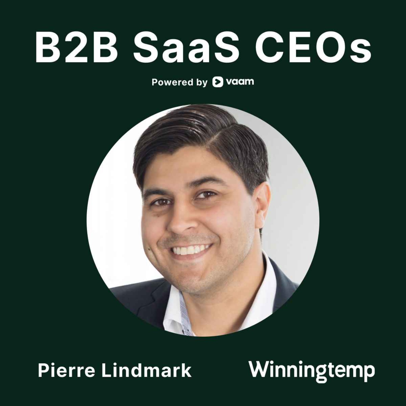 B2B SaaS CEOs