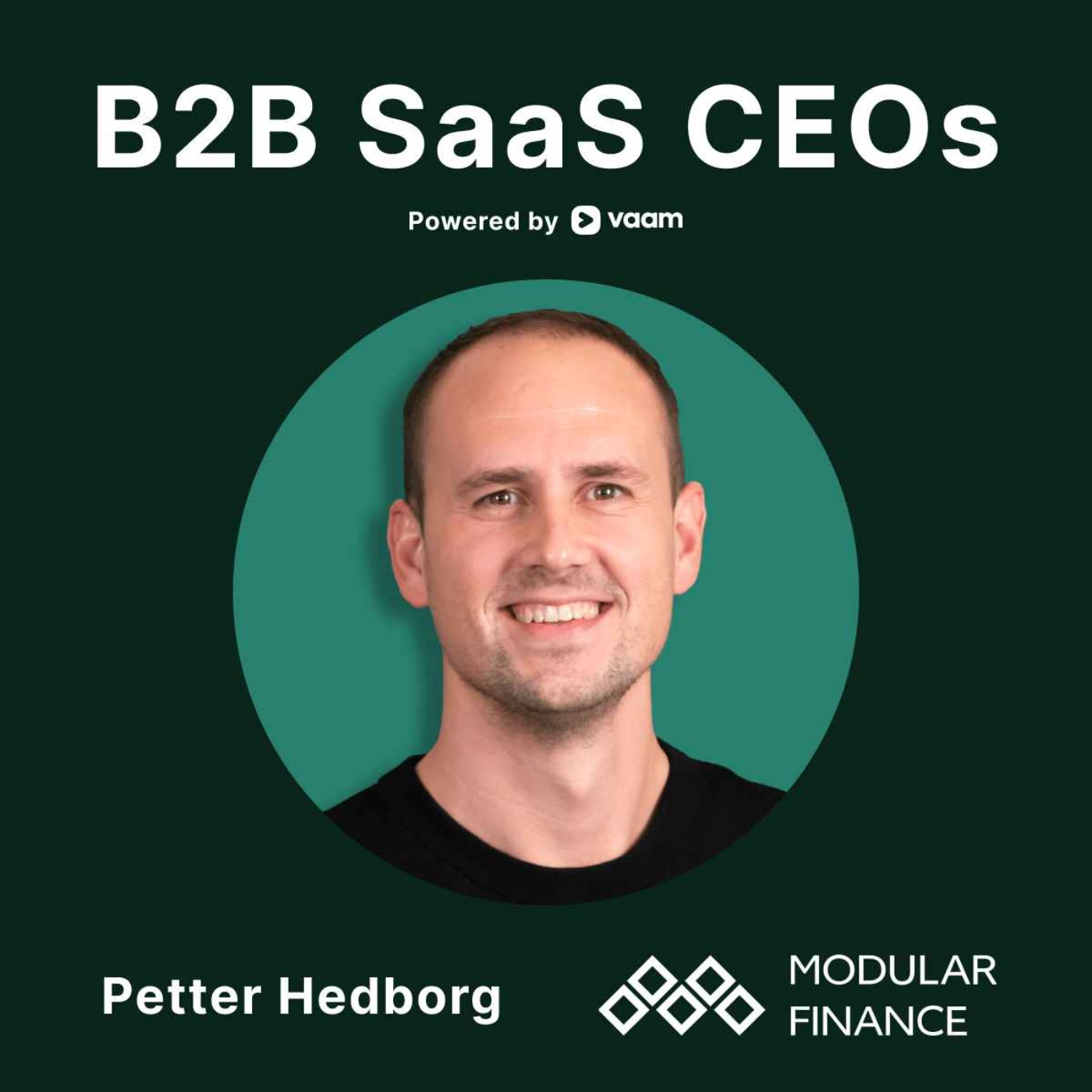 37. Petter Hedborg (Modular Finance) - Bootstrapped & very profitable