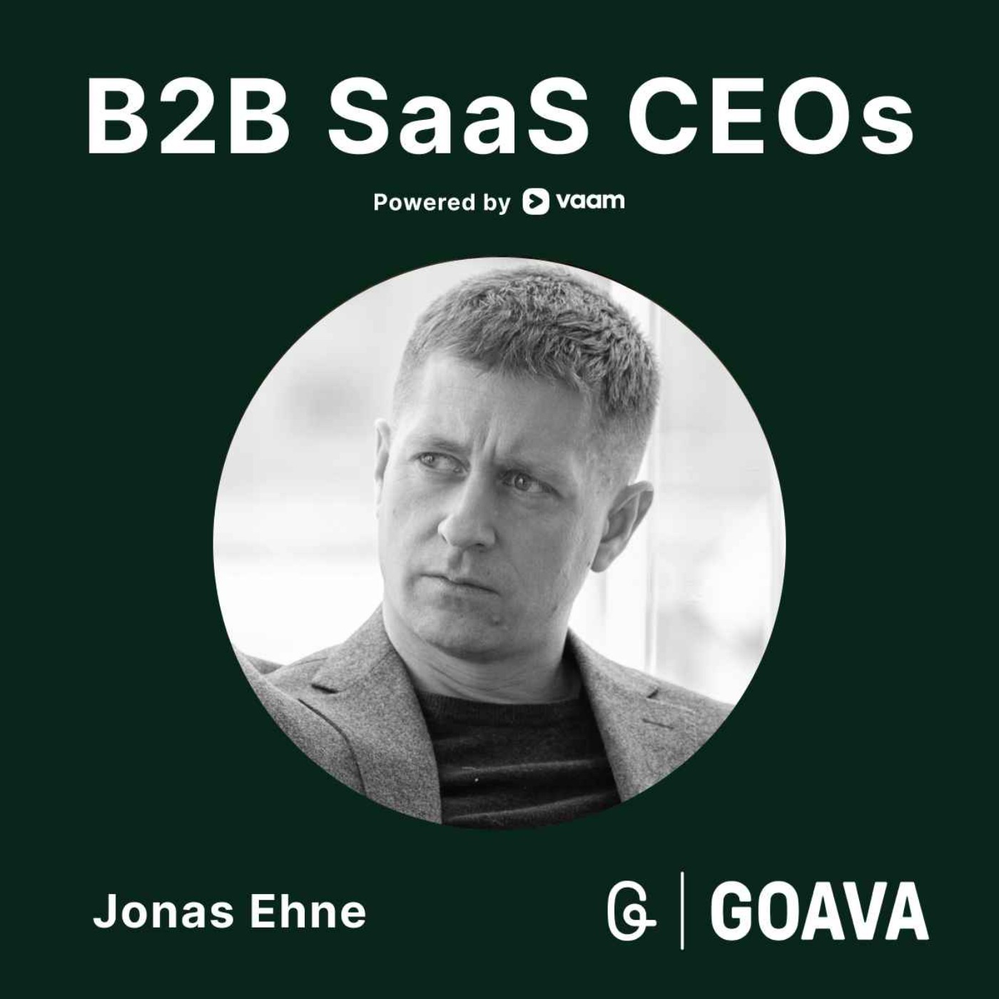 B2B SaaS CEOs