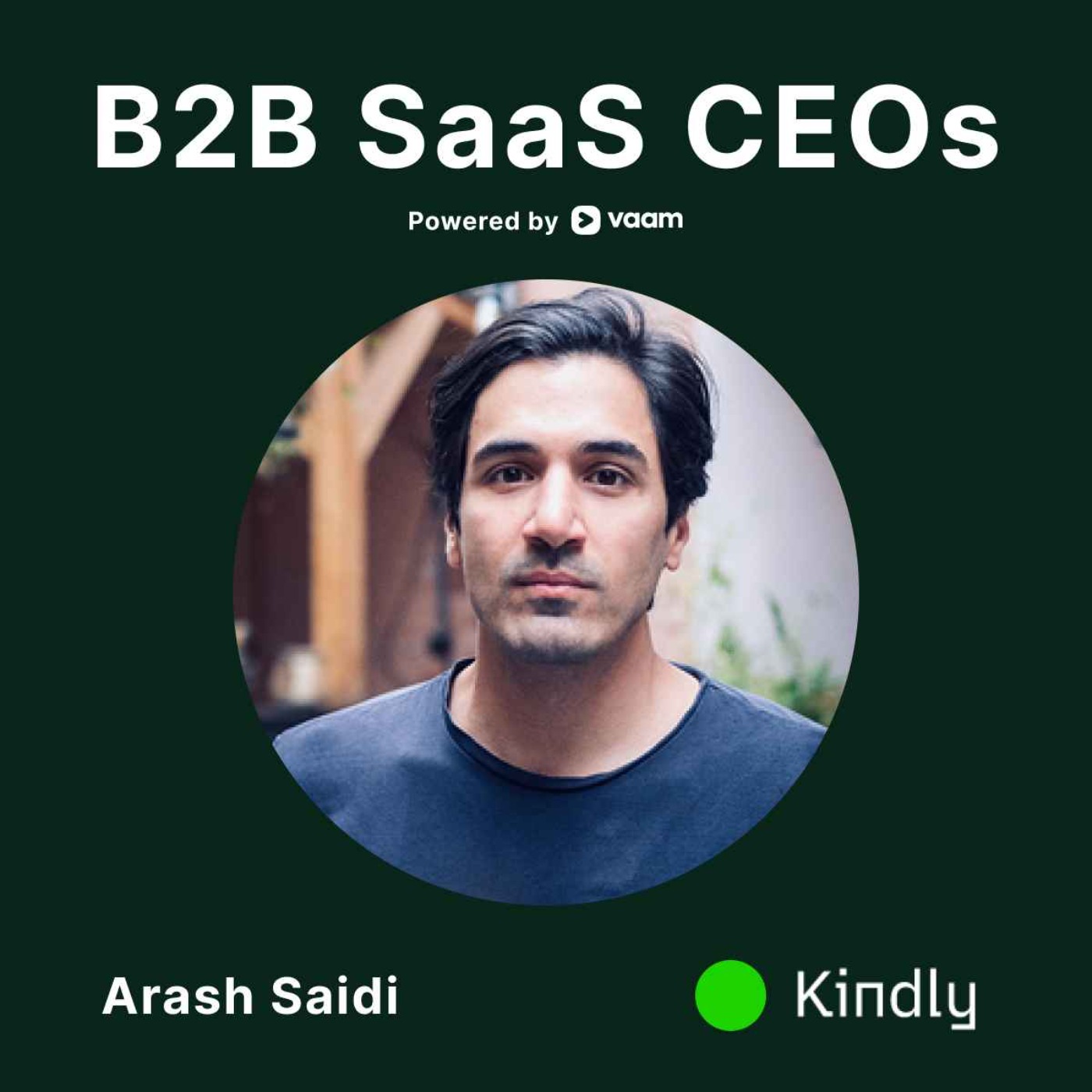 B2B SaaS CEOs