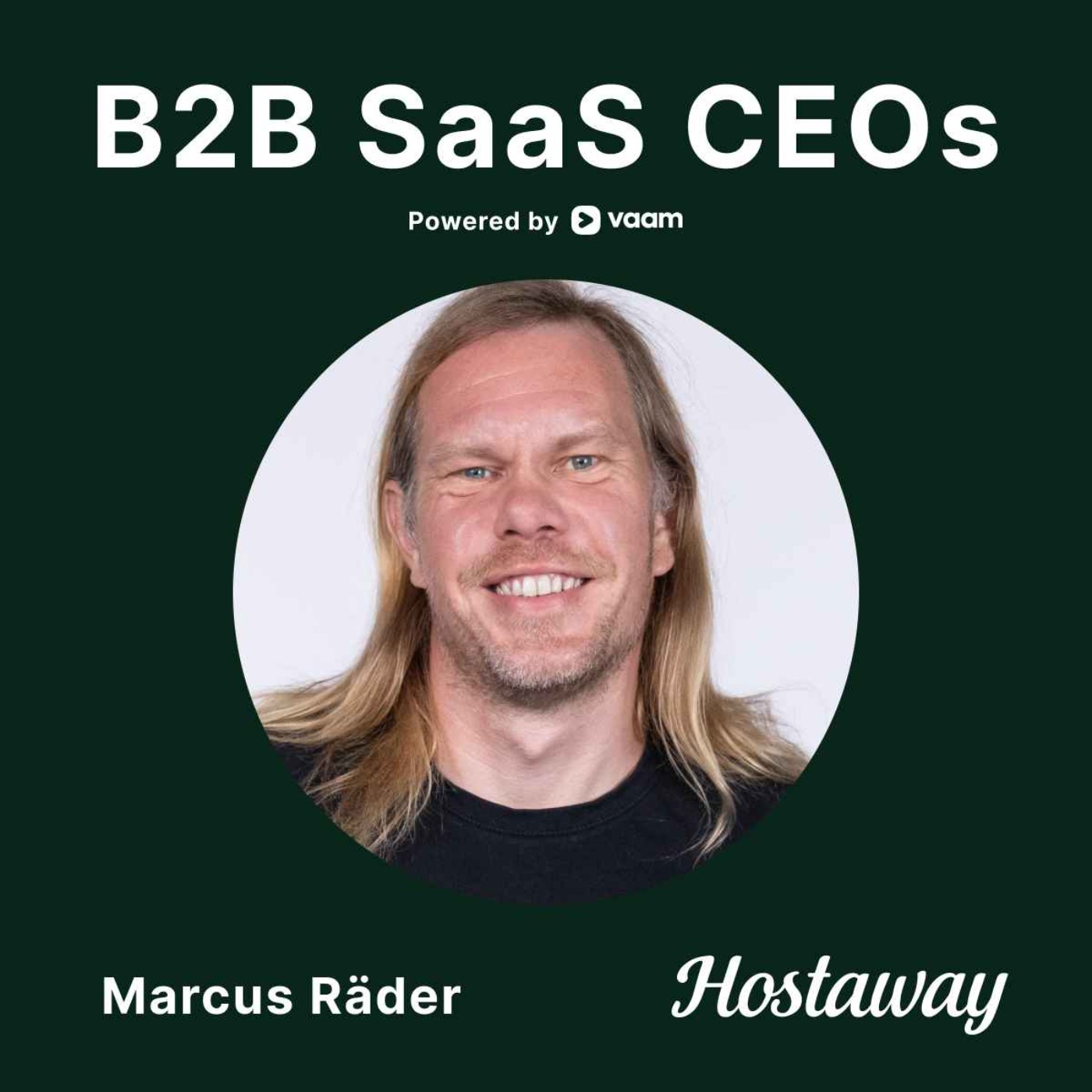 B2B SaaS CEOs