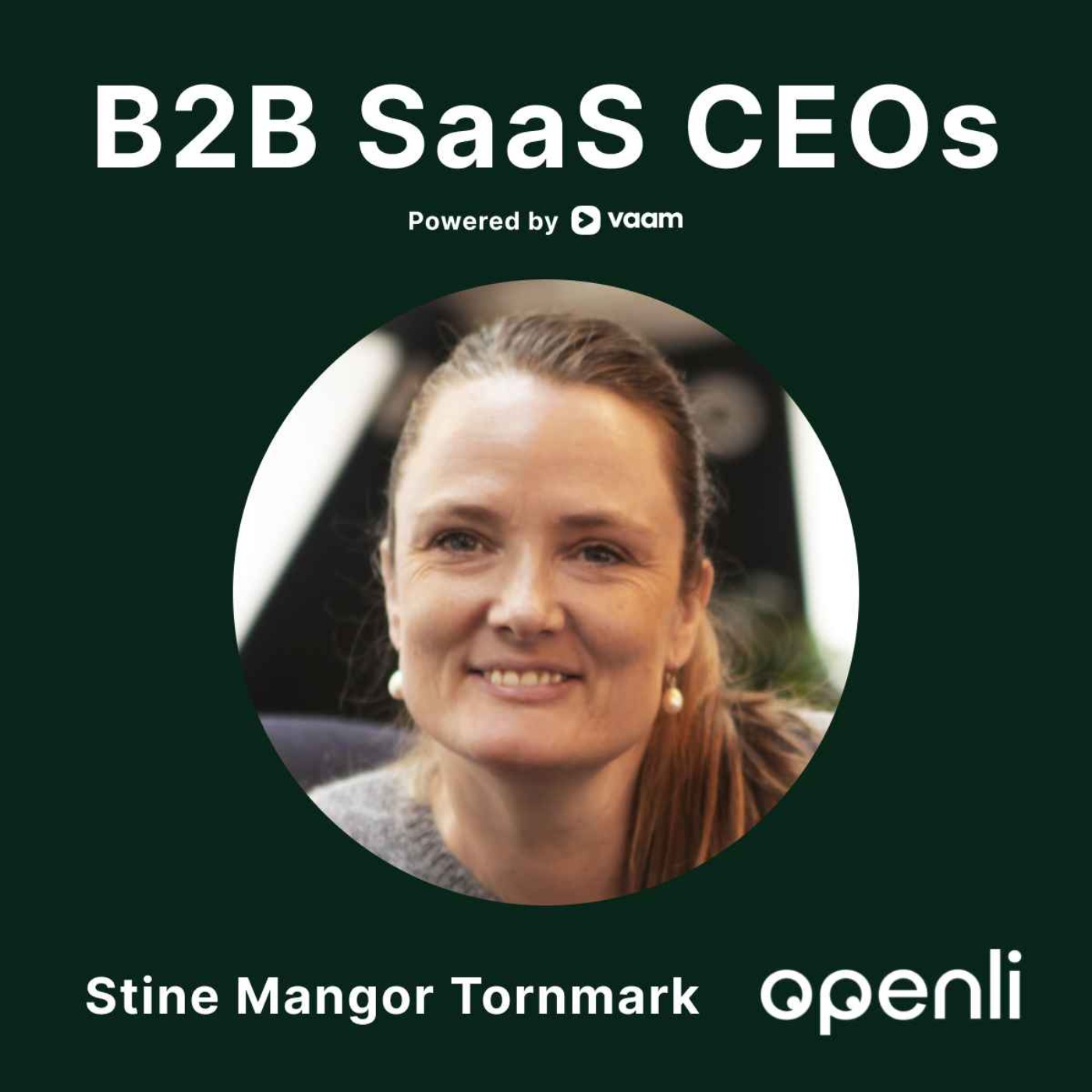 B2B SaaS CEOs