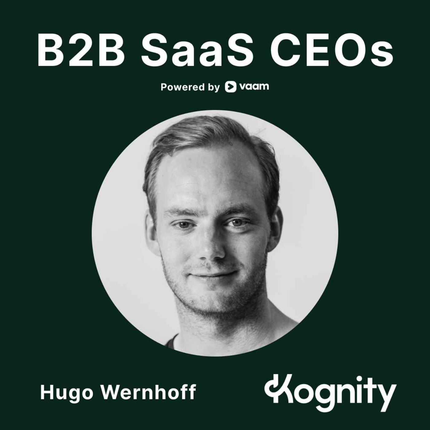 B2B SaaS CEOs