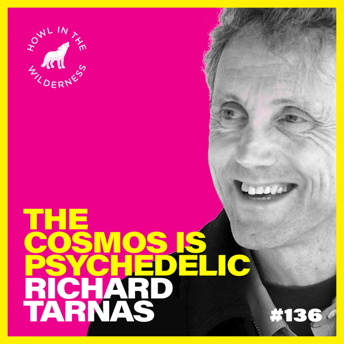 (Preview) The Cosmos Is Psychedelic | Richard Tarnas | HITW 136