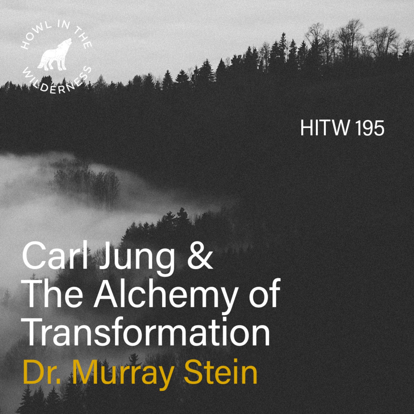 Carl Jung & The Alchemy of Transformation | Murray Stein | HITW 195