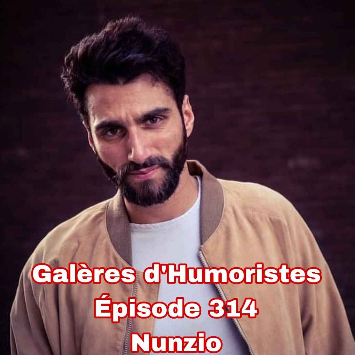 Galères d\'humoristes