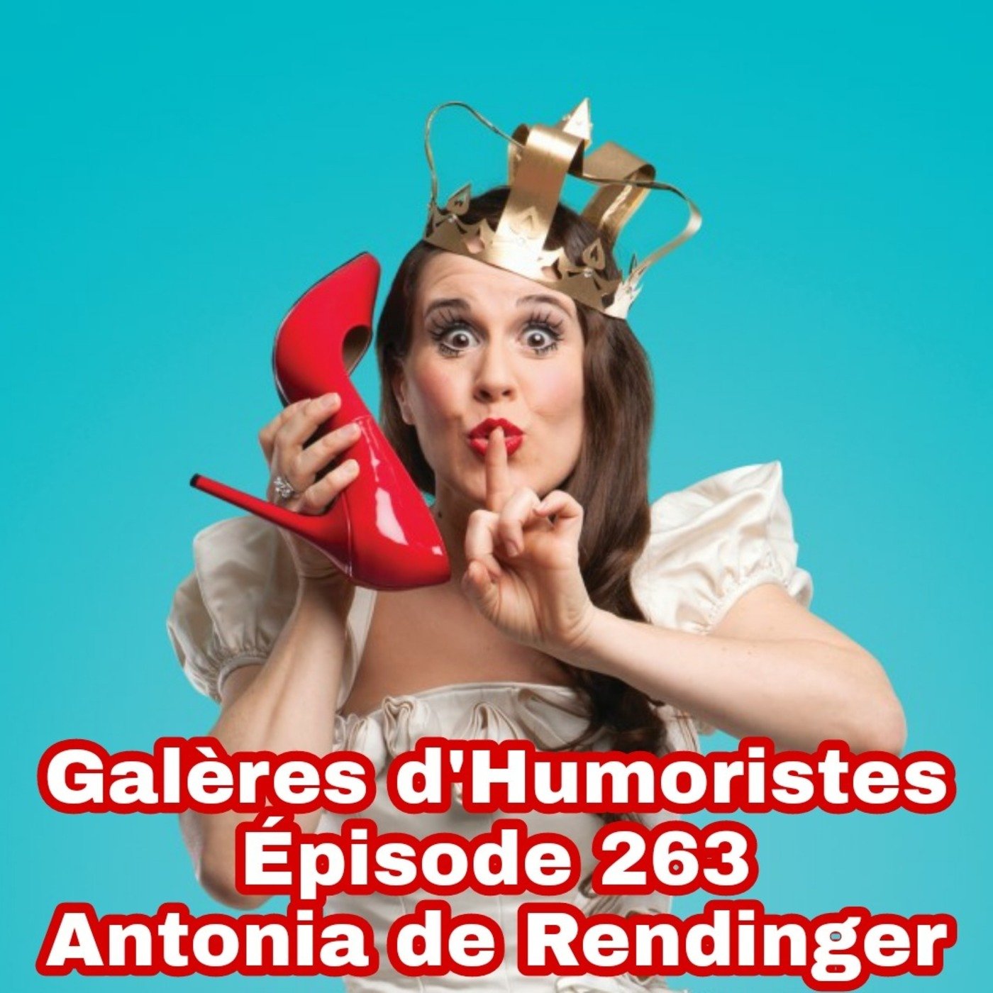 Galères d\'humoristes