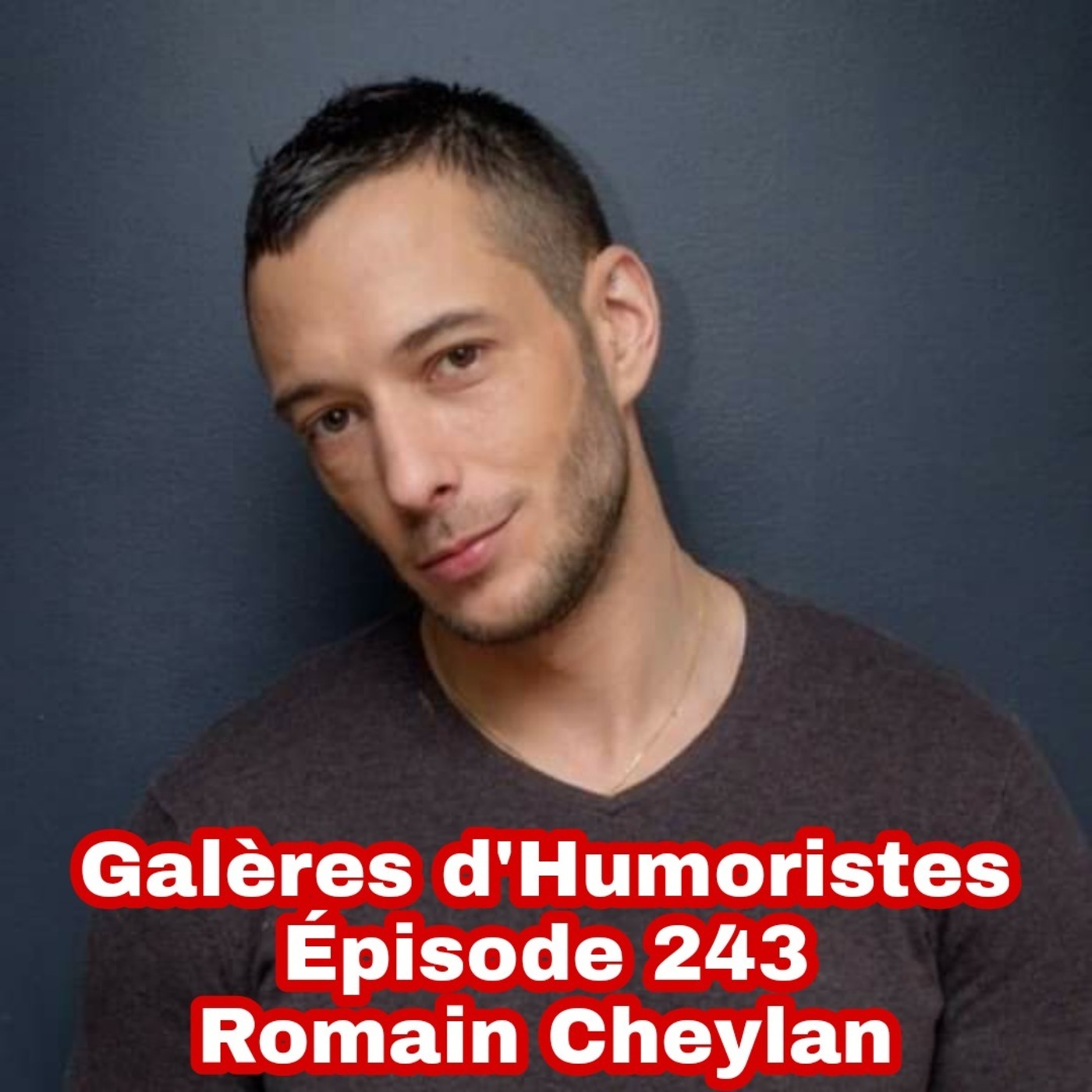 Galères d\'humoristes