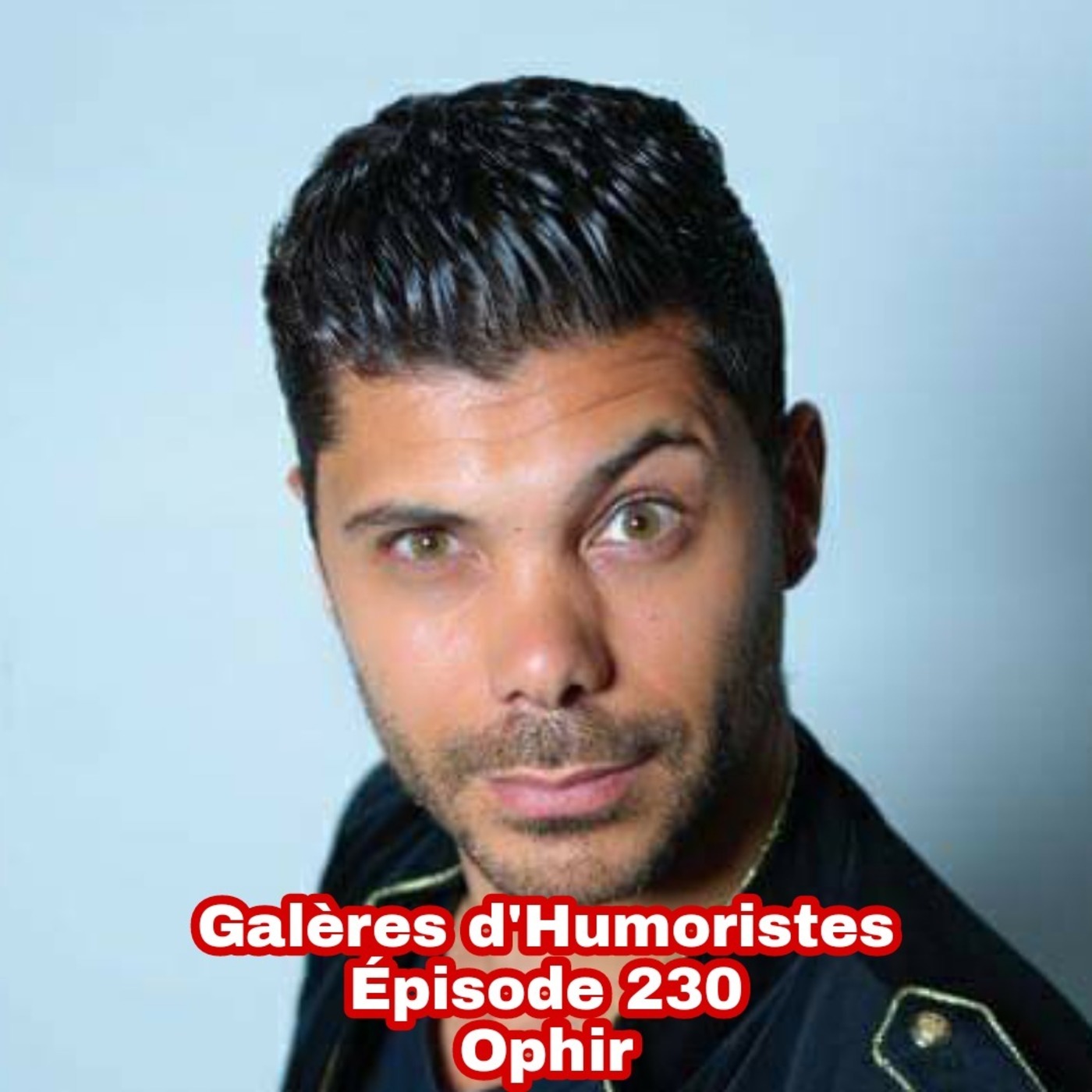 Galères d\'humoristes