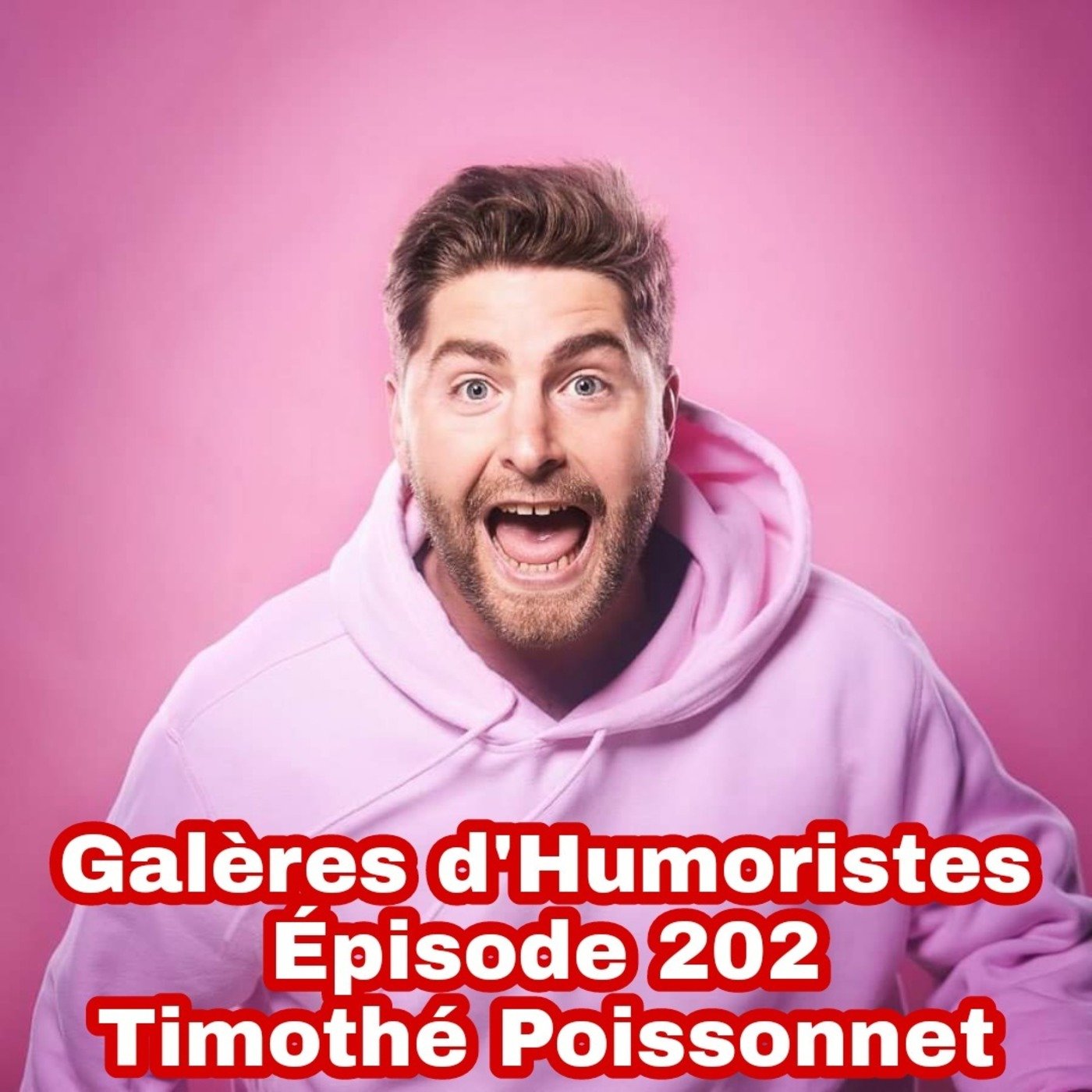 Galères d\'humoristes