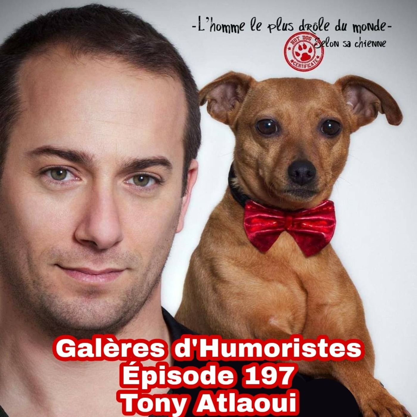 Galères d\'humoristes