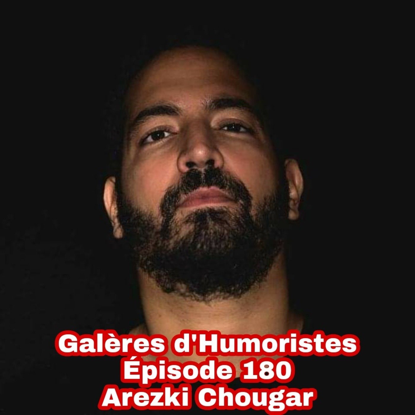 Galères d\'humoristes