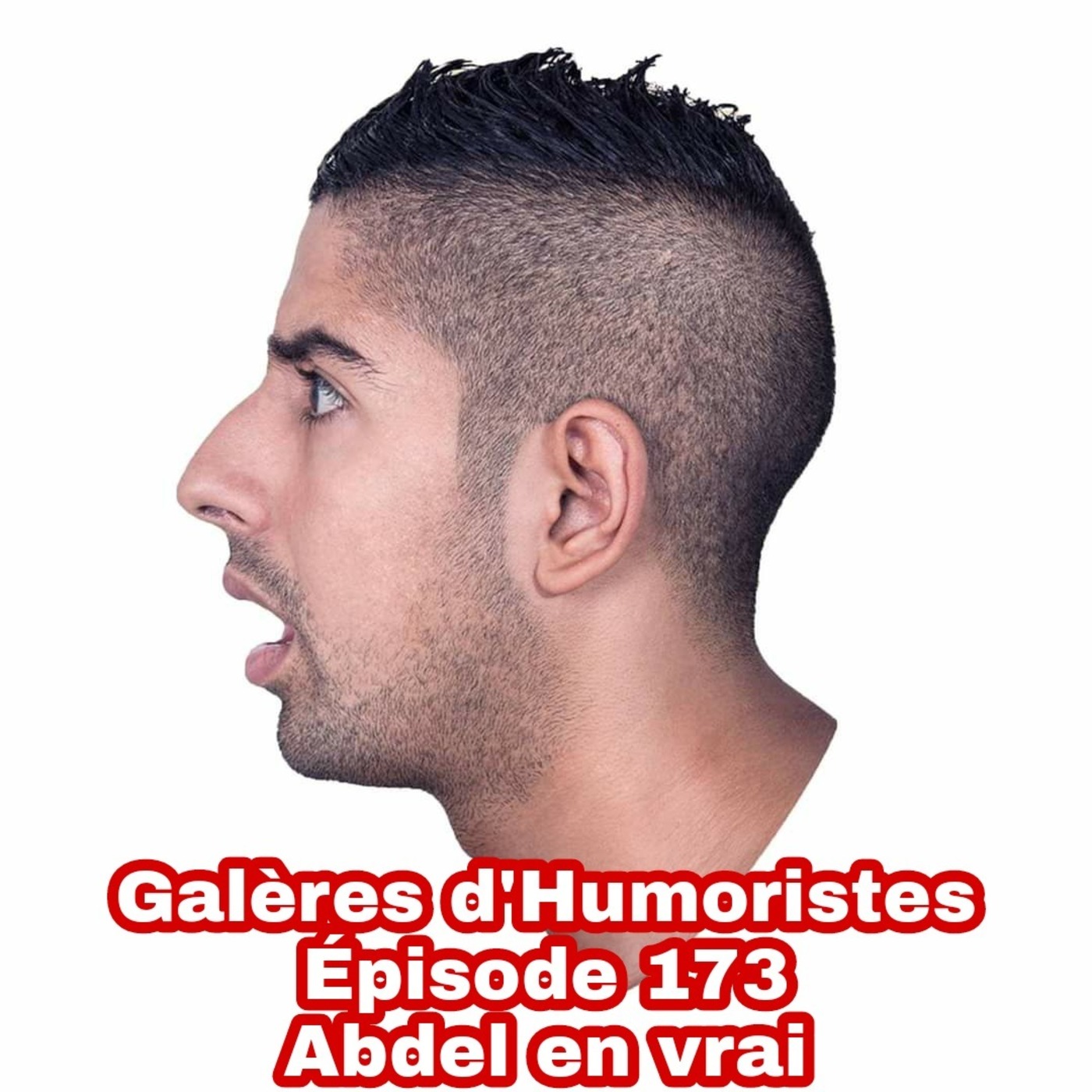 Galères d\'humoristes