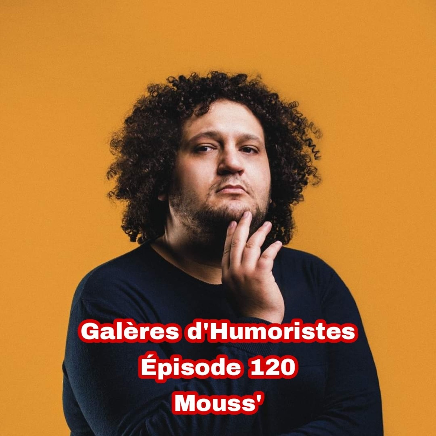 Galères d\'humoristes