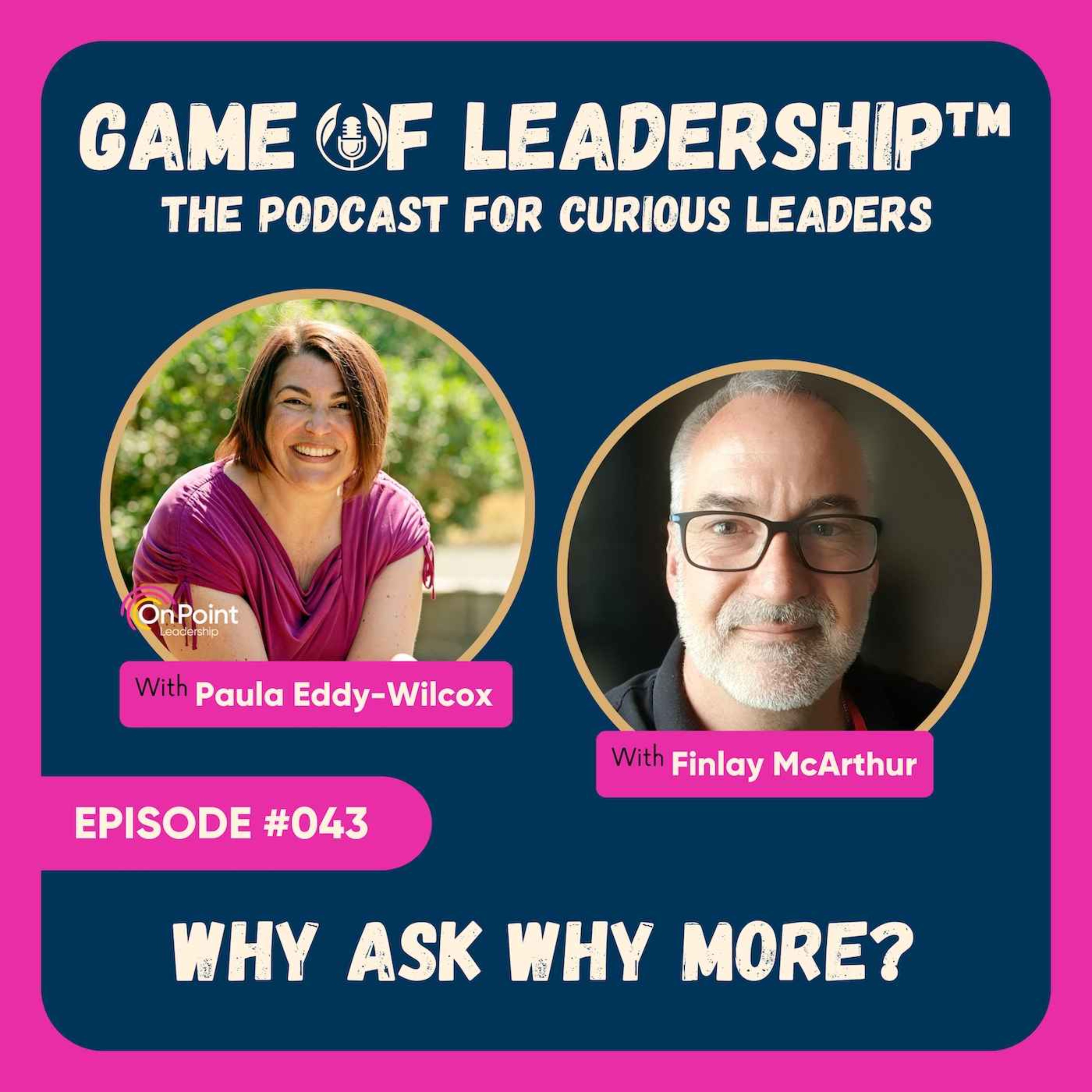 #043 Why Ask Why More?