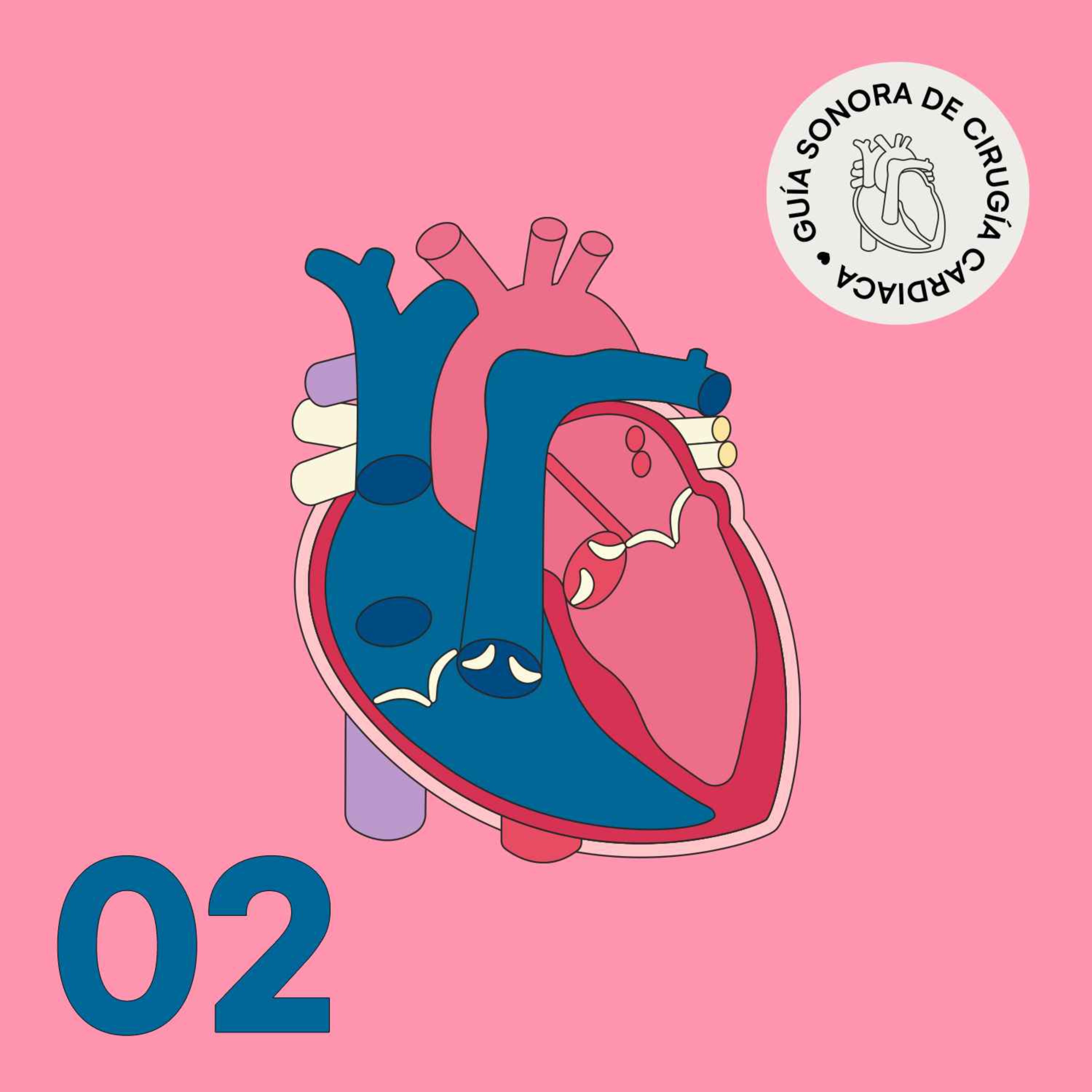 Episodio 02. Conoce tu corazón episode artwork