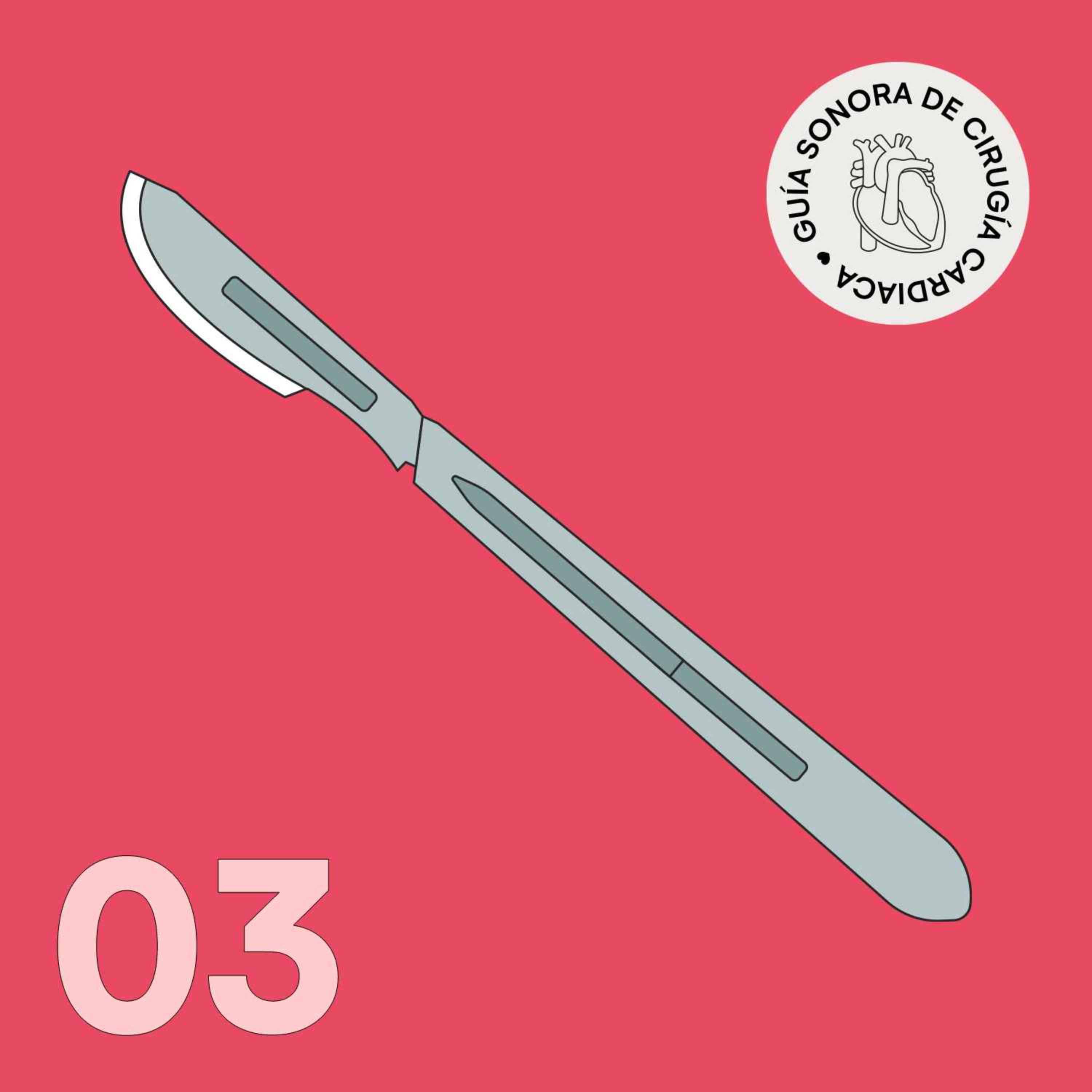 Episodio 03. ¿Por qué operamos? episode artwork