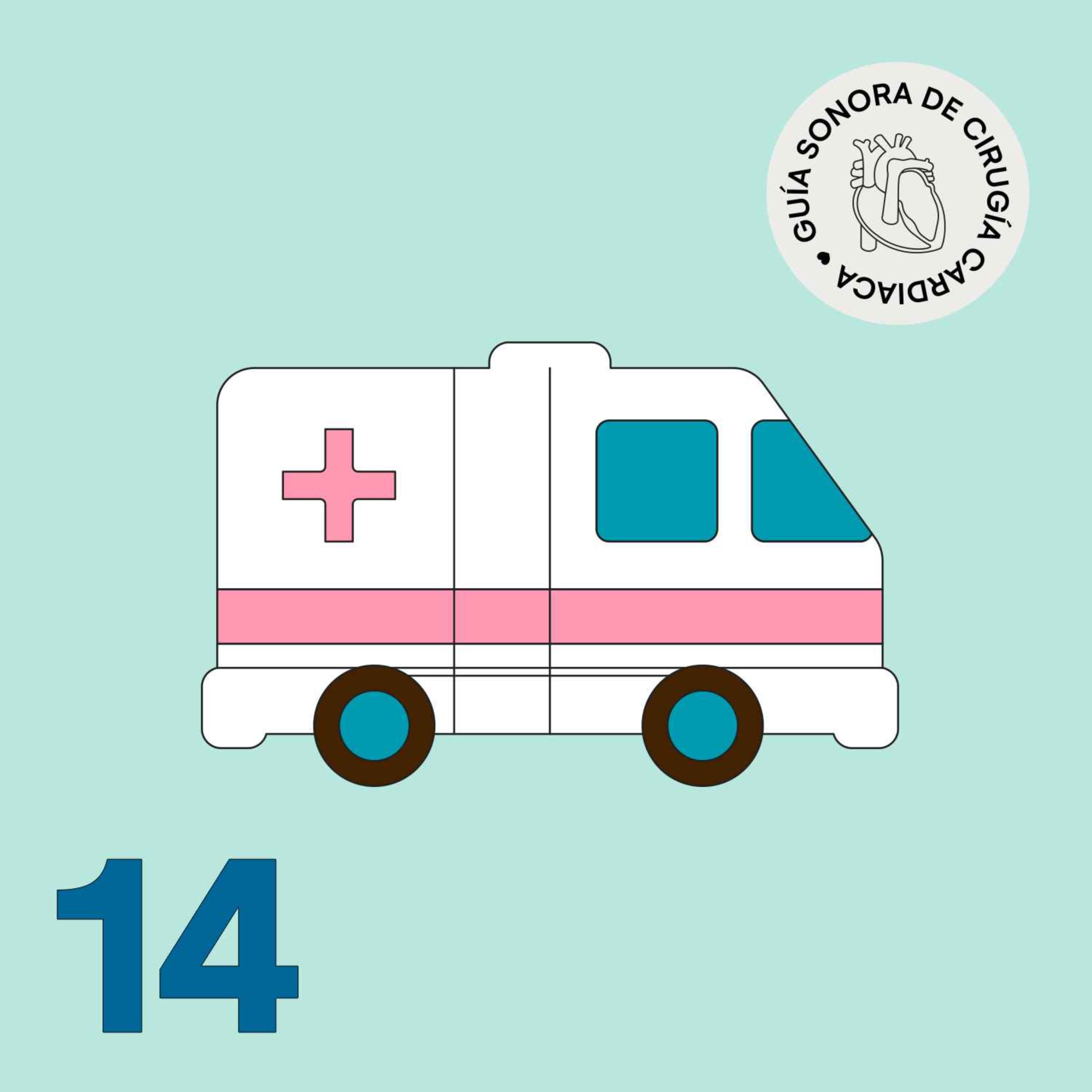 Episodio 14. Situaciones de emergencia episode artwork