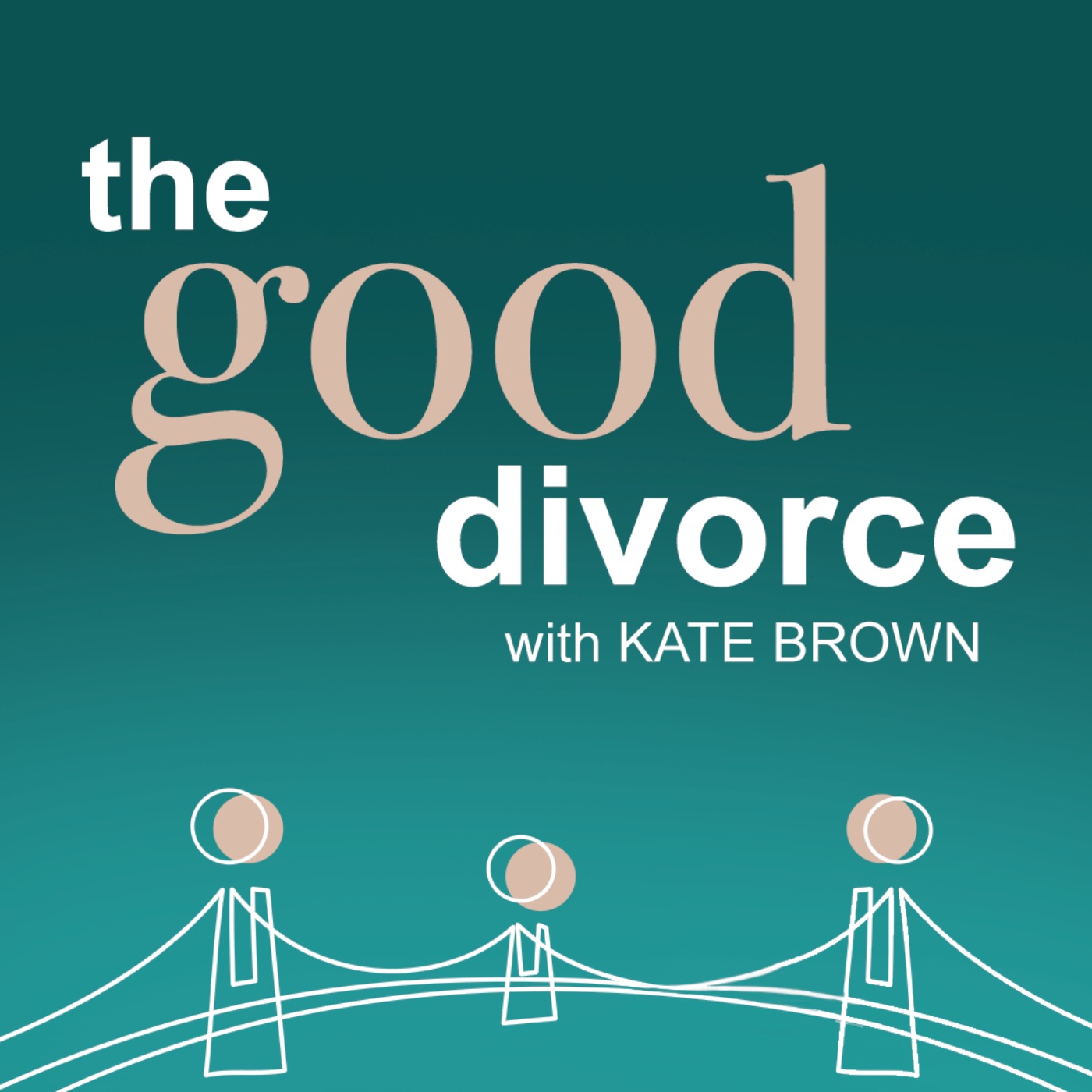 cover art for THE DIVORCE LAWYER: Ayesha Vardag