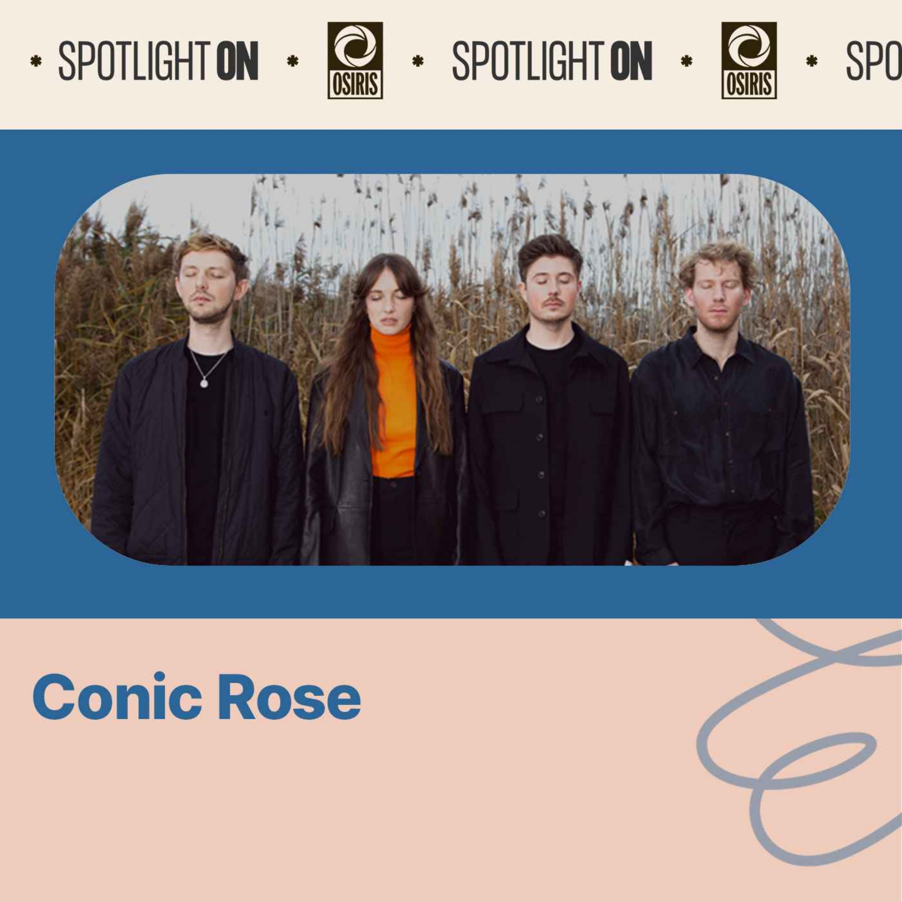 Conic Rose