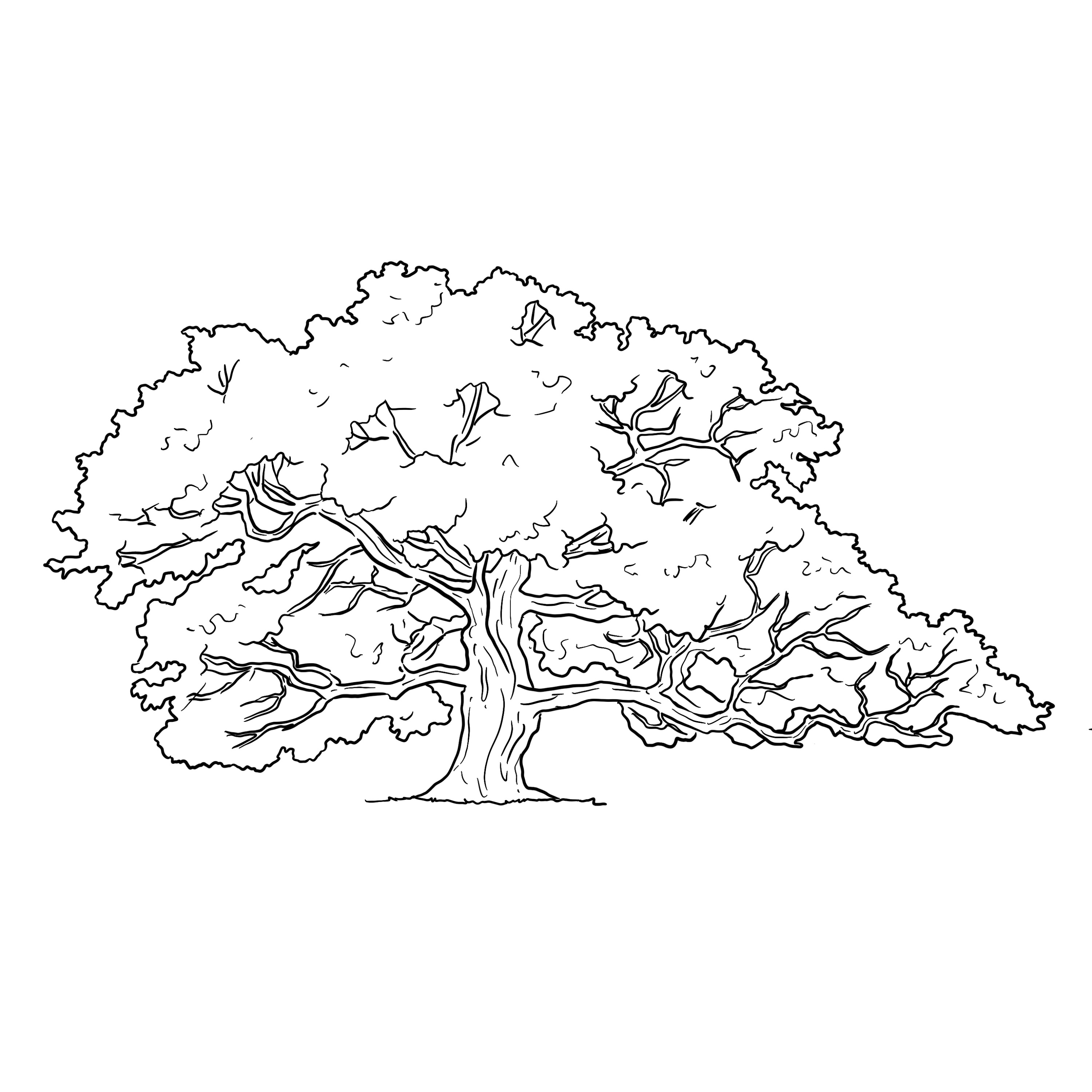 cover art for Heligan’s Oak Tree – Judi Dench