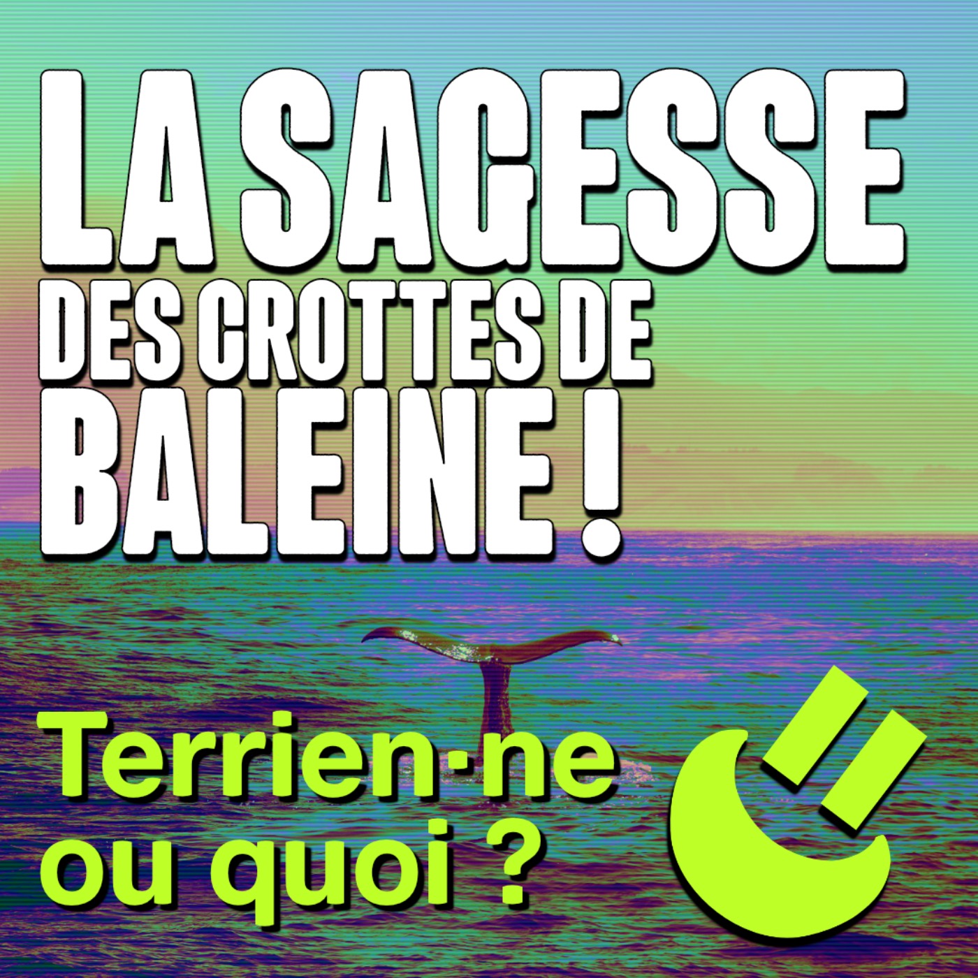 Des crottes de baleines à l'entreprise écologique