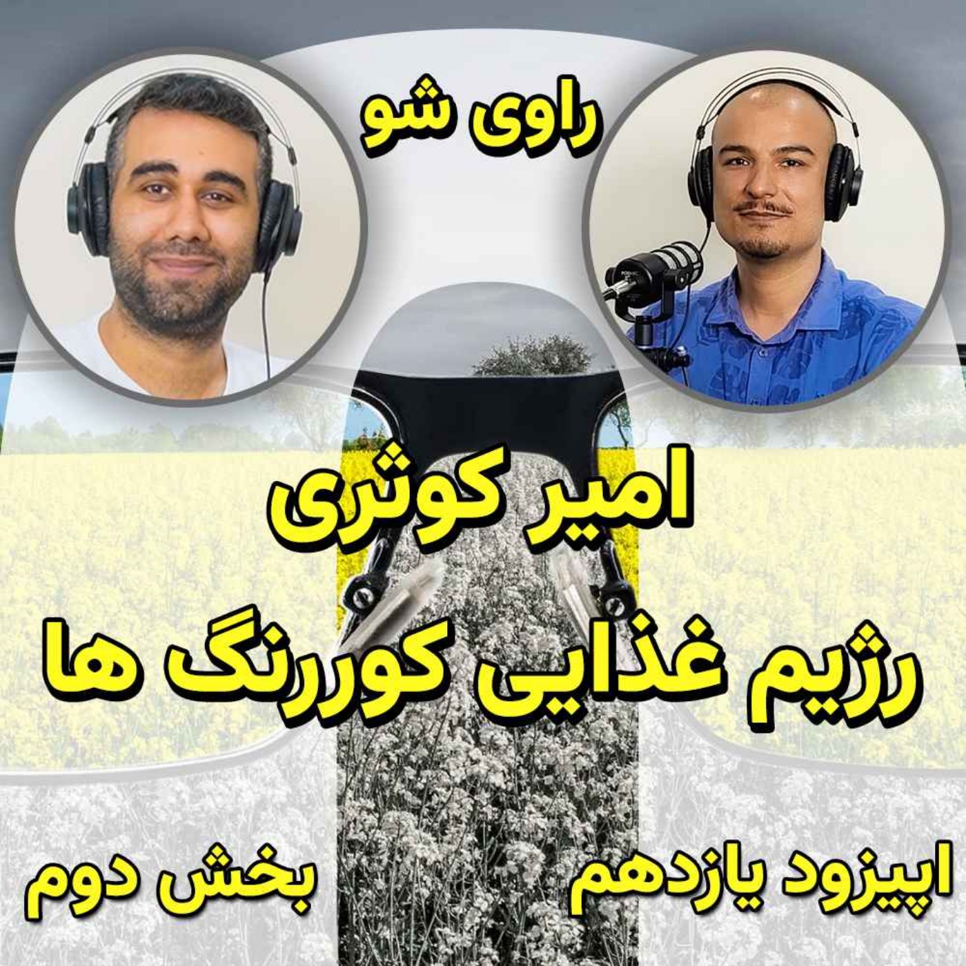 Ravi Sho | پادکست فارسی راوی شو