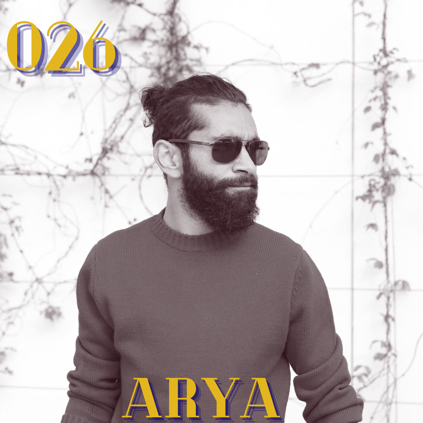 Bro Nouveau Podcast