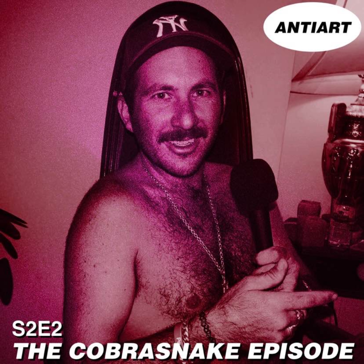 cover art for THE COBRASNAKE INTERVIEW