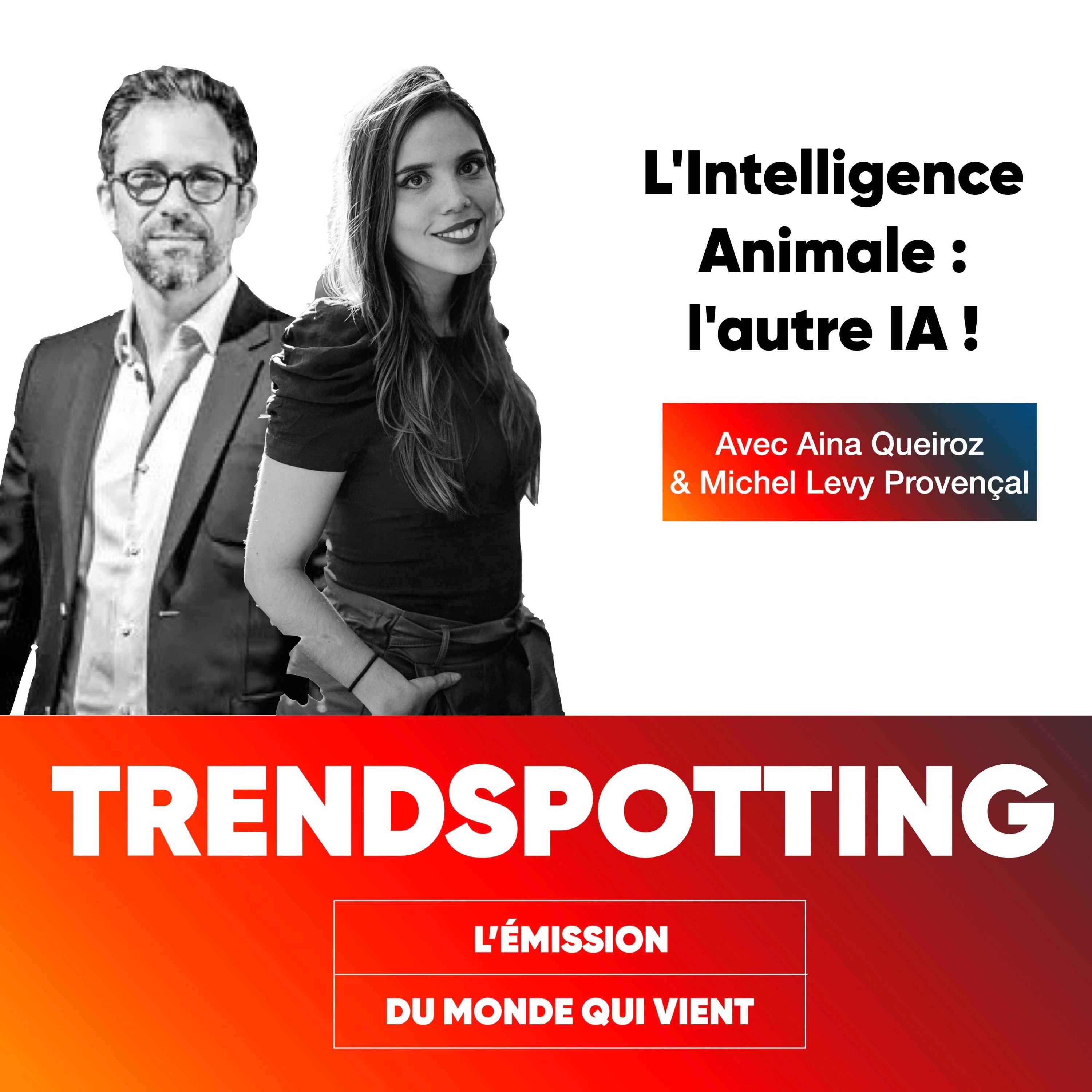 TRENDSPOTTING : l\'émission du monde qui vient.