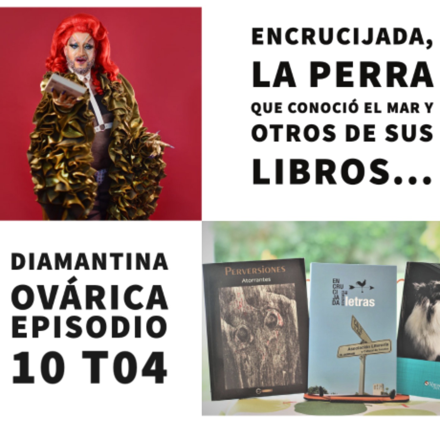 S04 E10: Encrucijada con Diamantina Ovárica (@ovarica) episode artwork