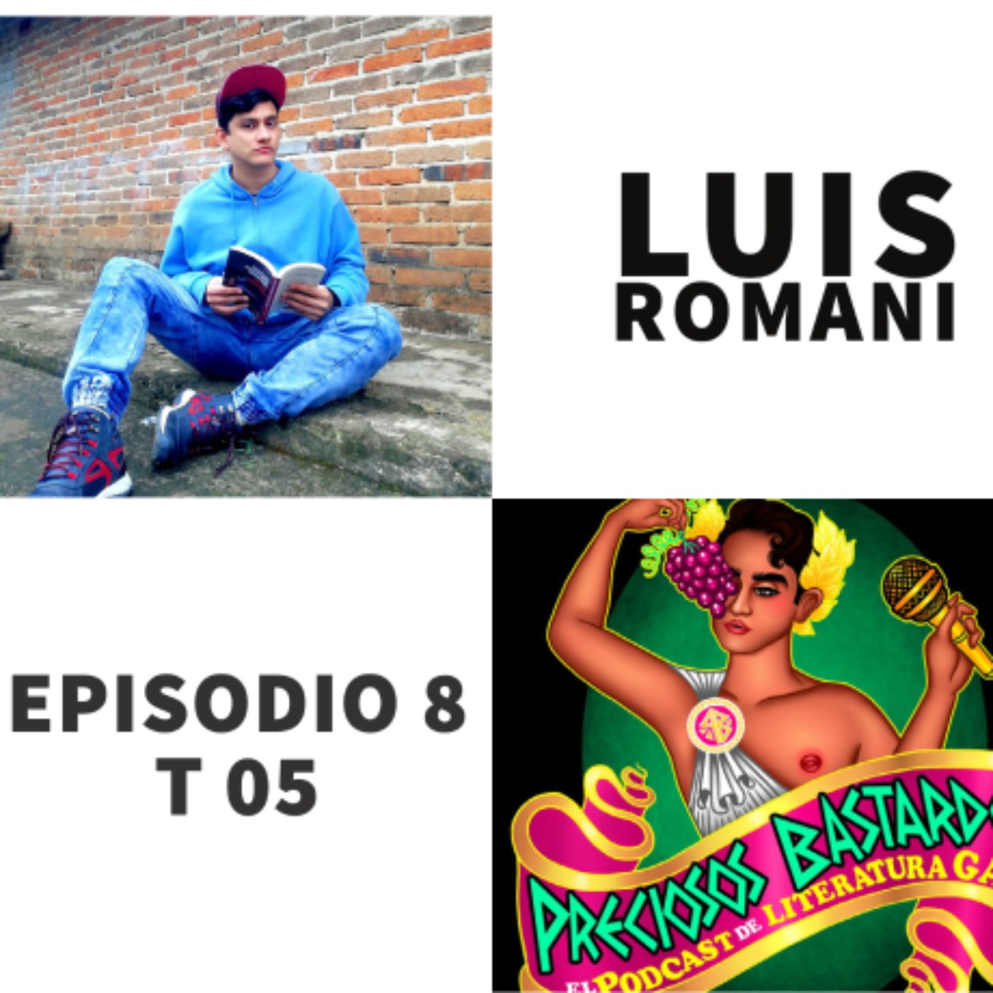 S05 E8: Recomendaciones de Libros LGBTQ+ con Luis Romani de Preciosos Bastardos episode artwork