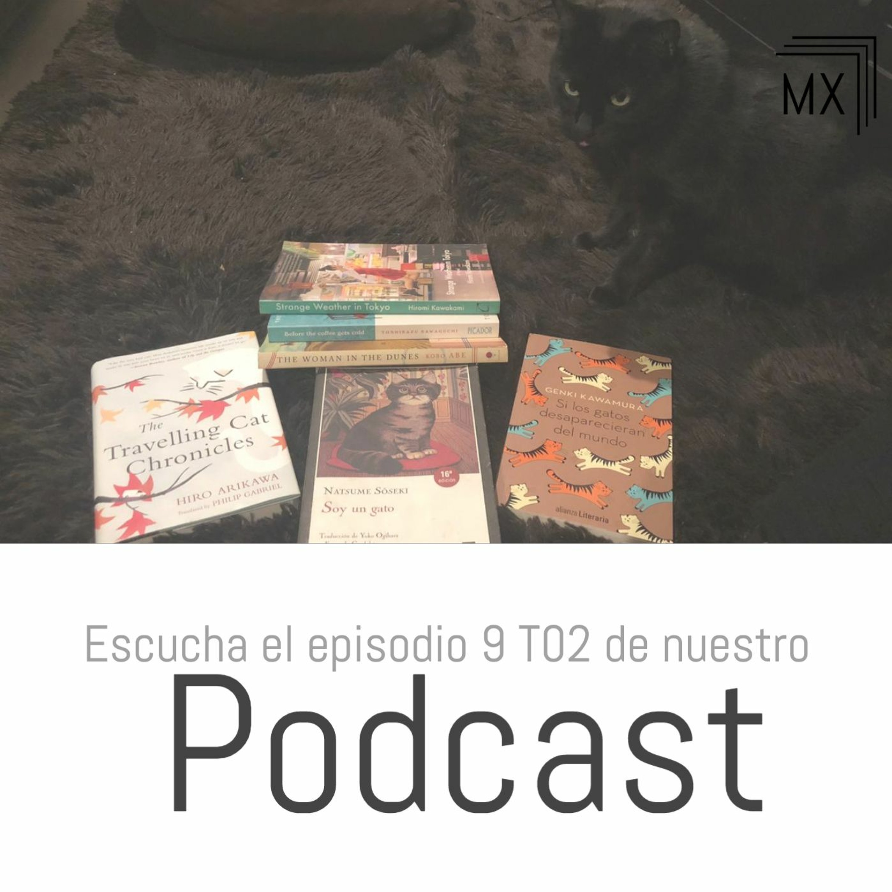 S02 E09: Entre libros, gatos y literatura japonesa. episode artwork
