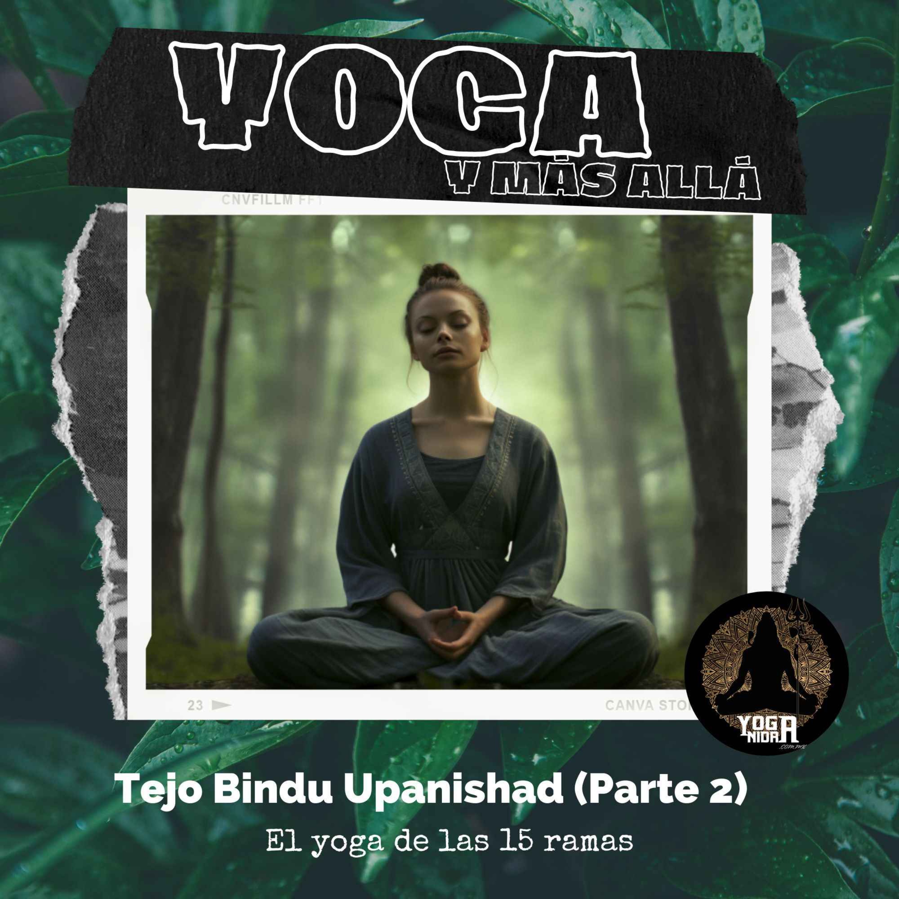 Yoga y más allá...
