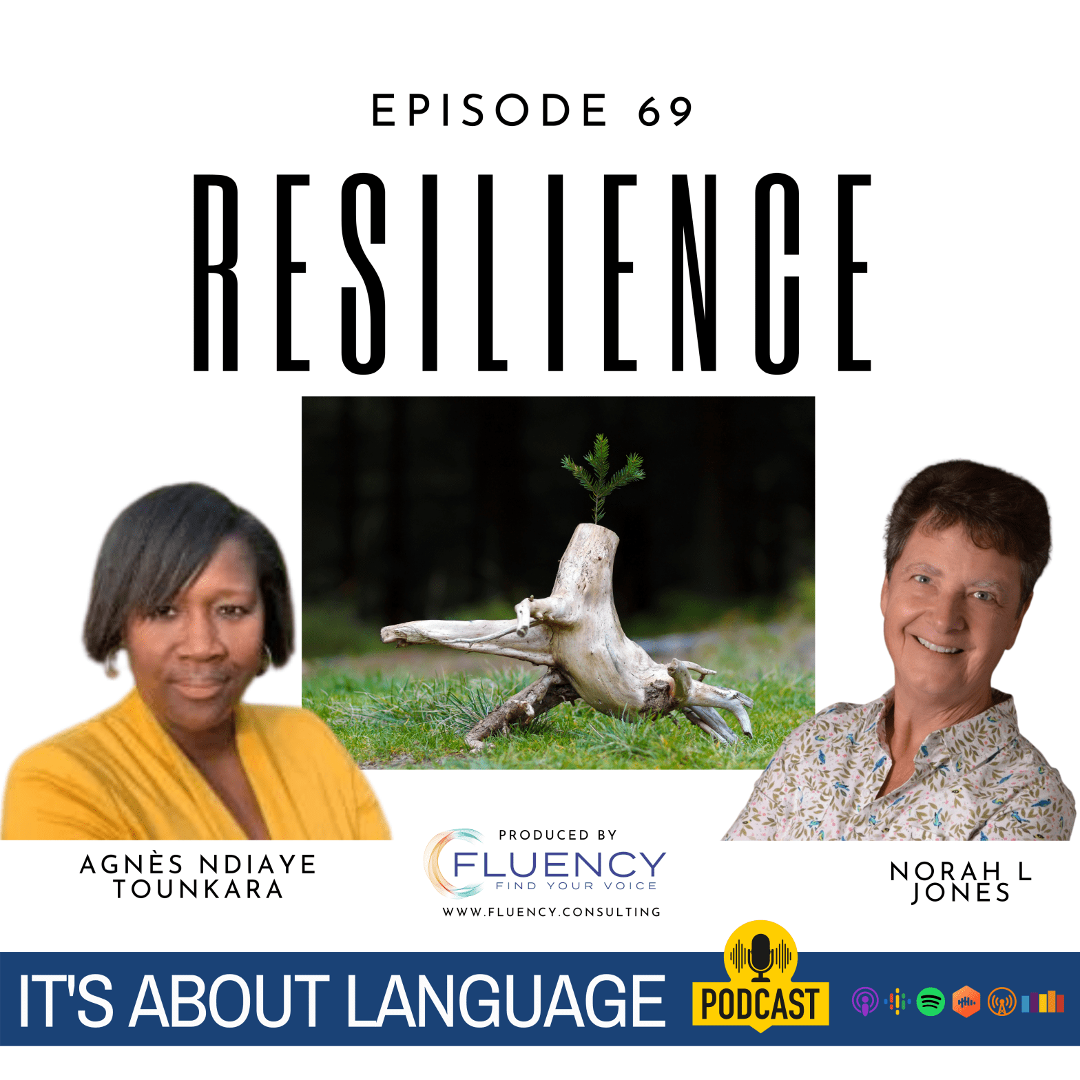 cover art for Episode 69 – Resilience (Republished)