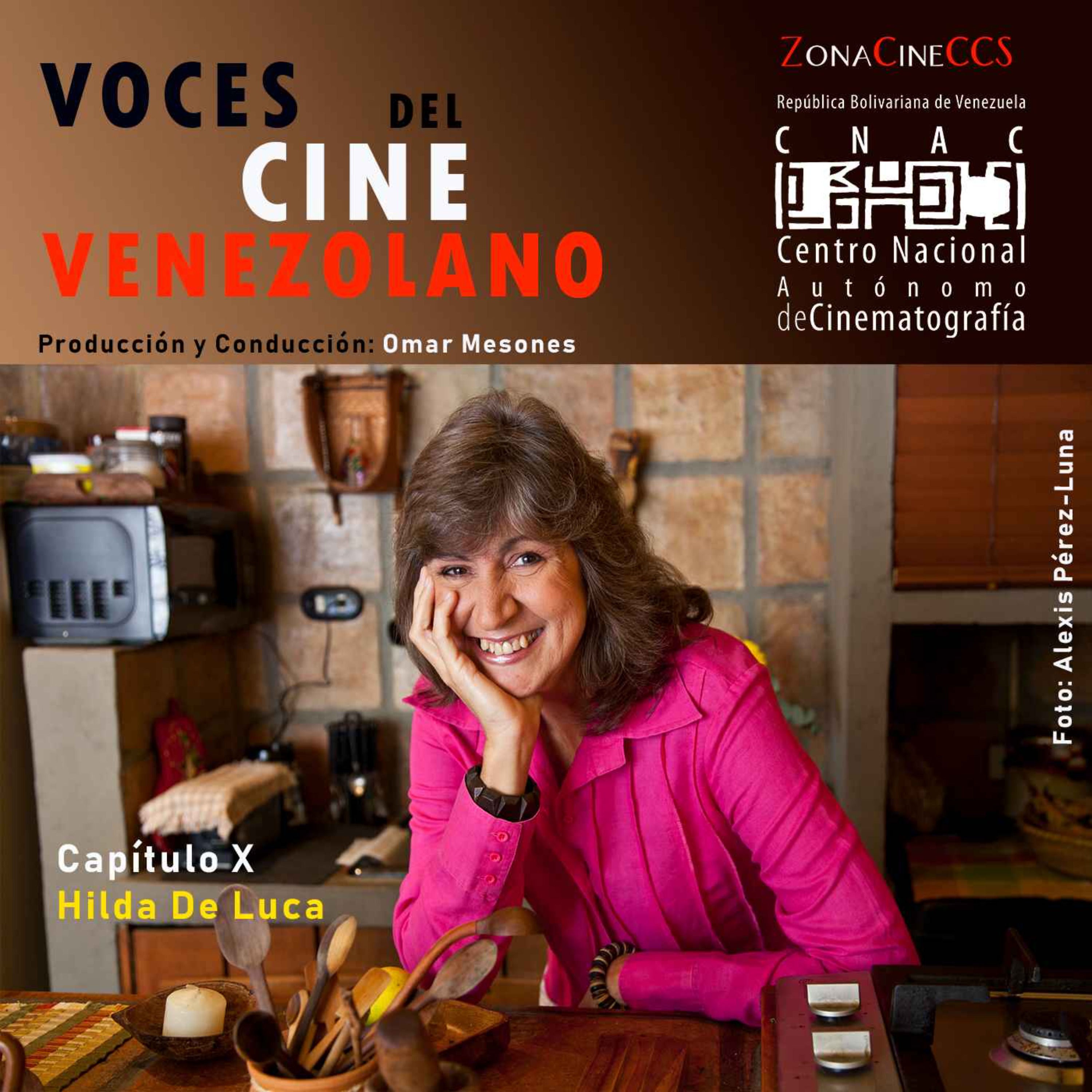 Voces del Cine Venezolano