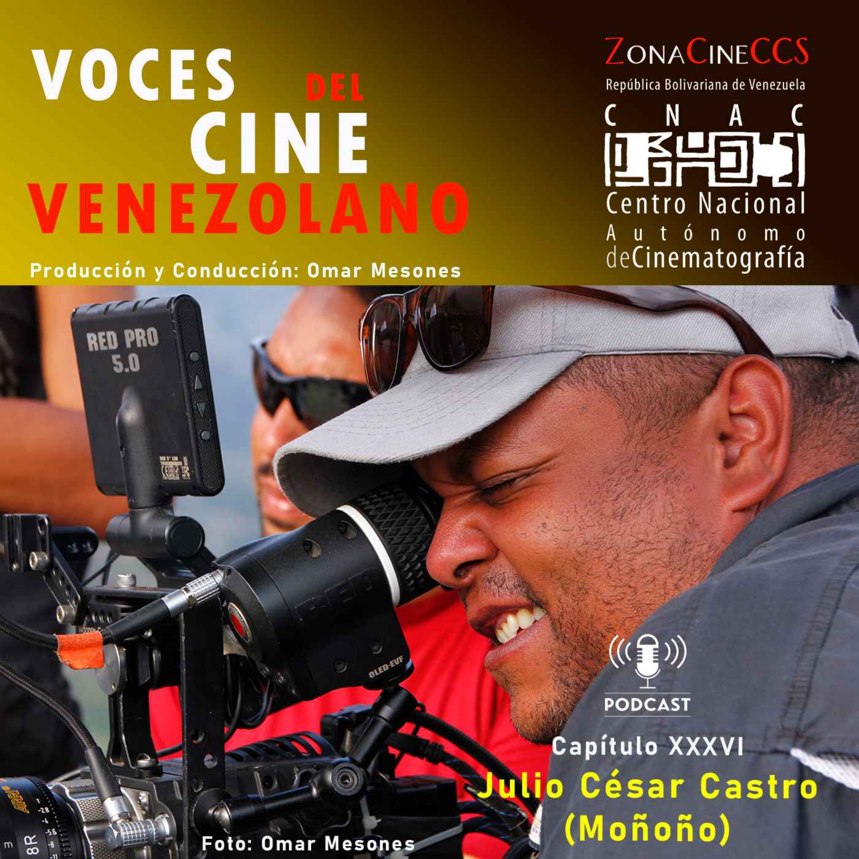 Voces del Cine Venezolano