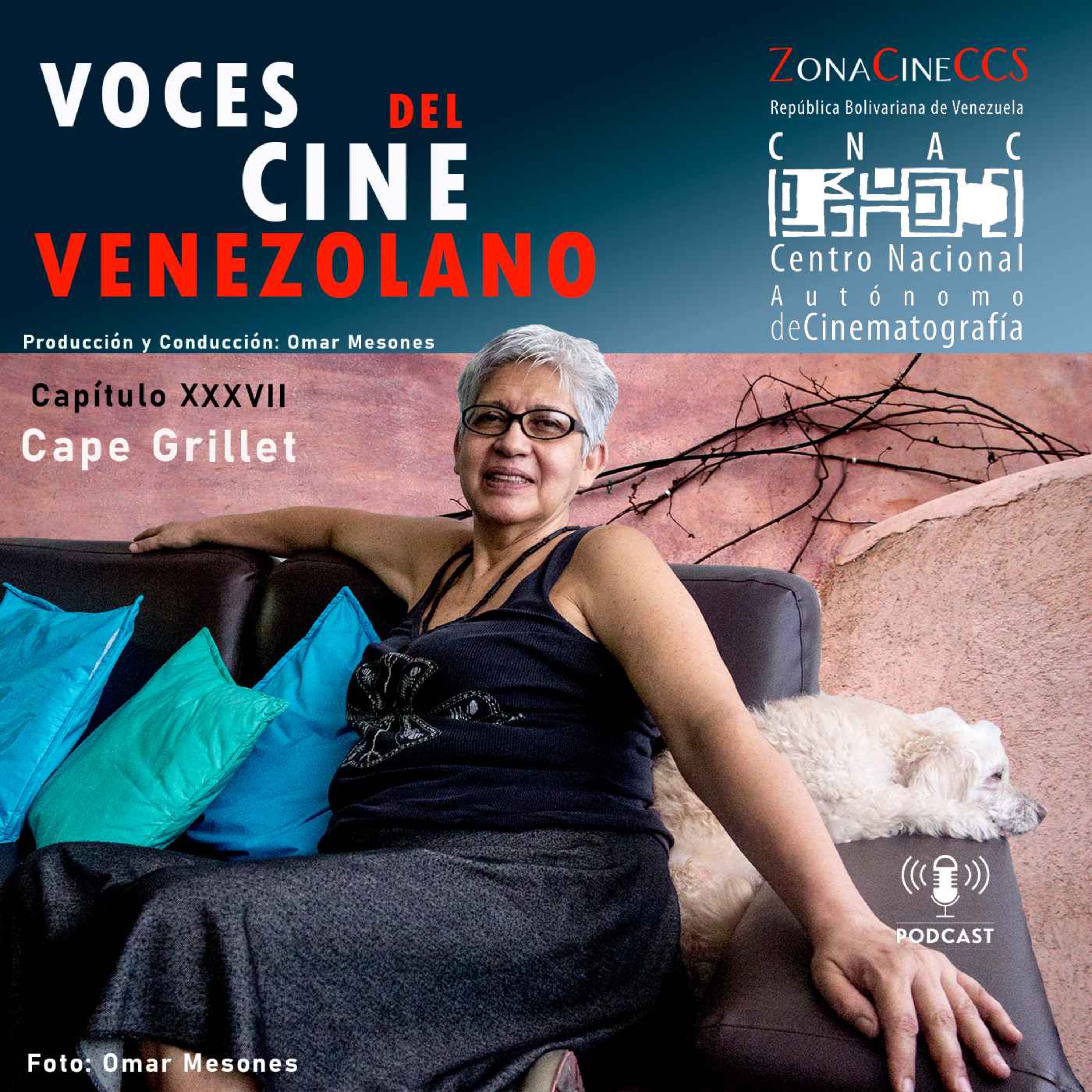 Voces del Cine Venezolano