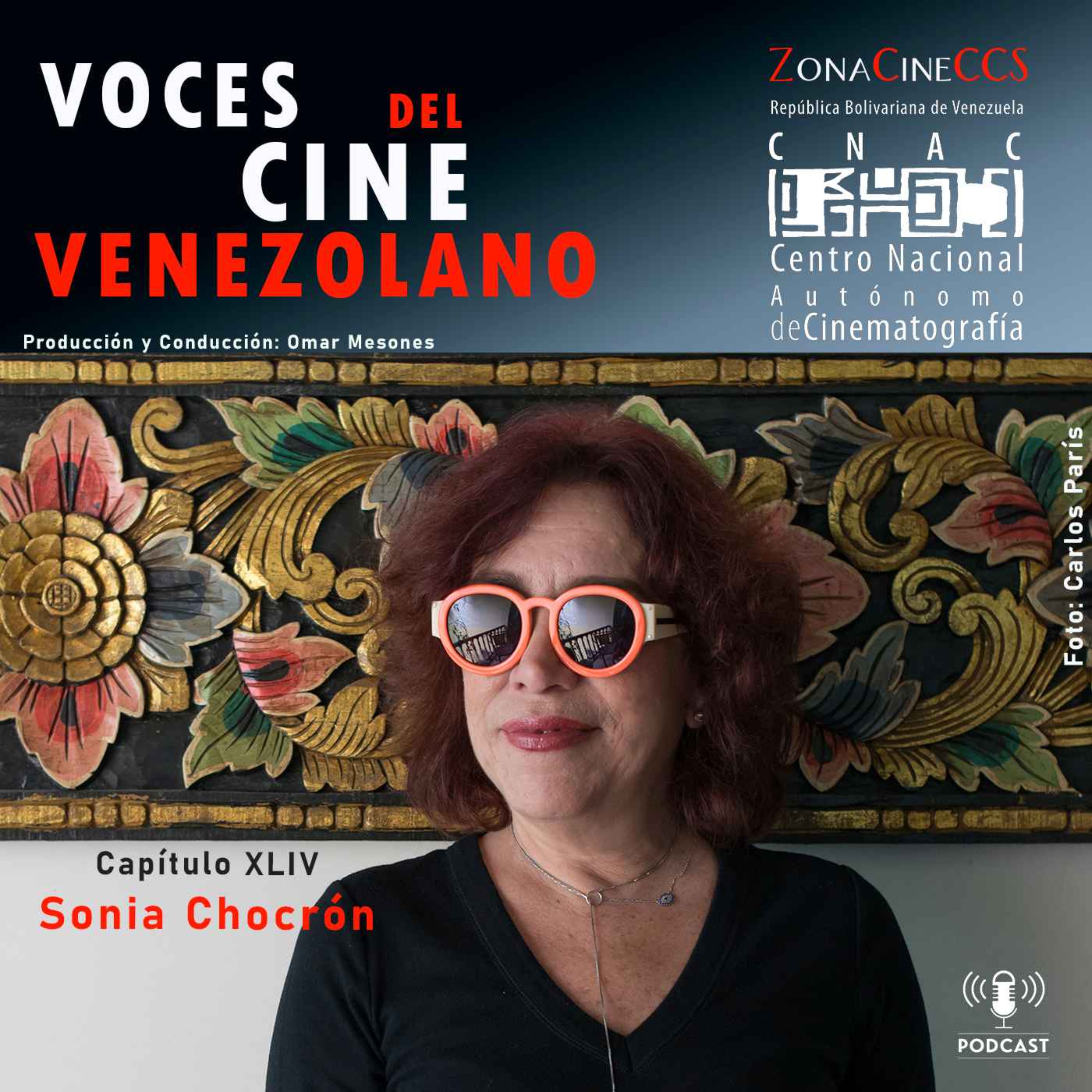 Voces del Cine Venezolano
