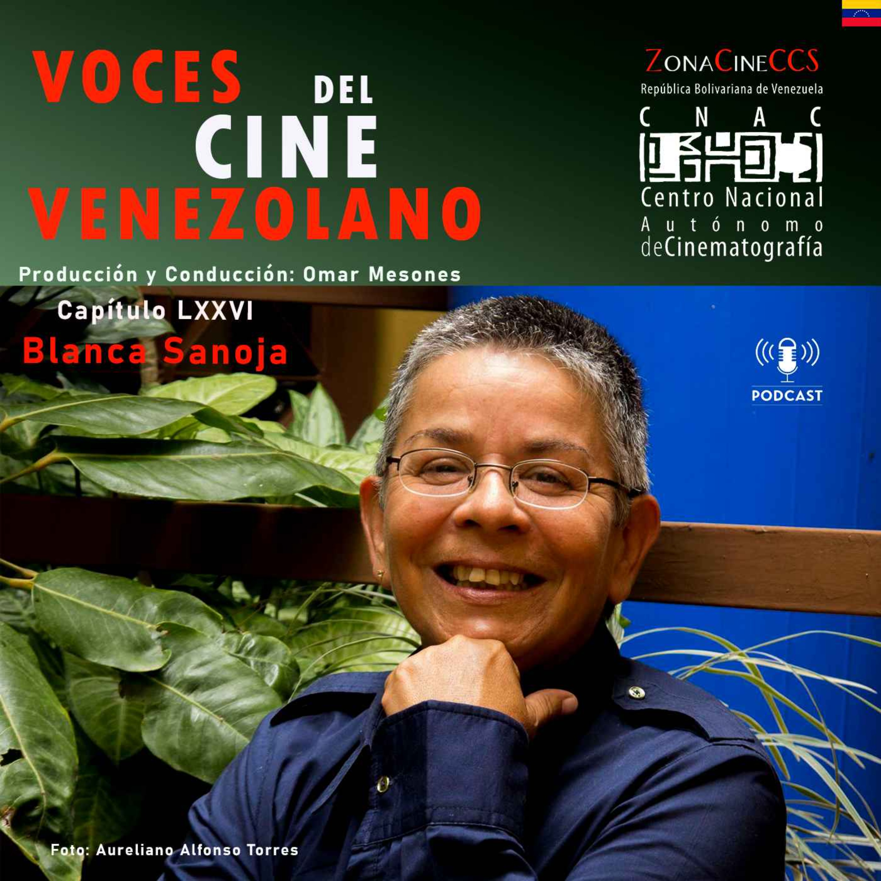 Voces del Cine Venezolano
